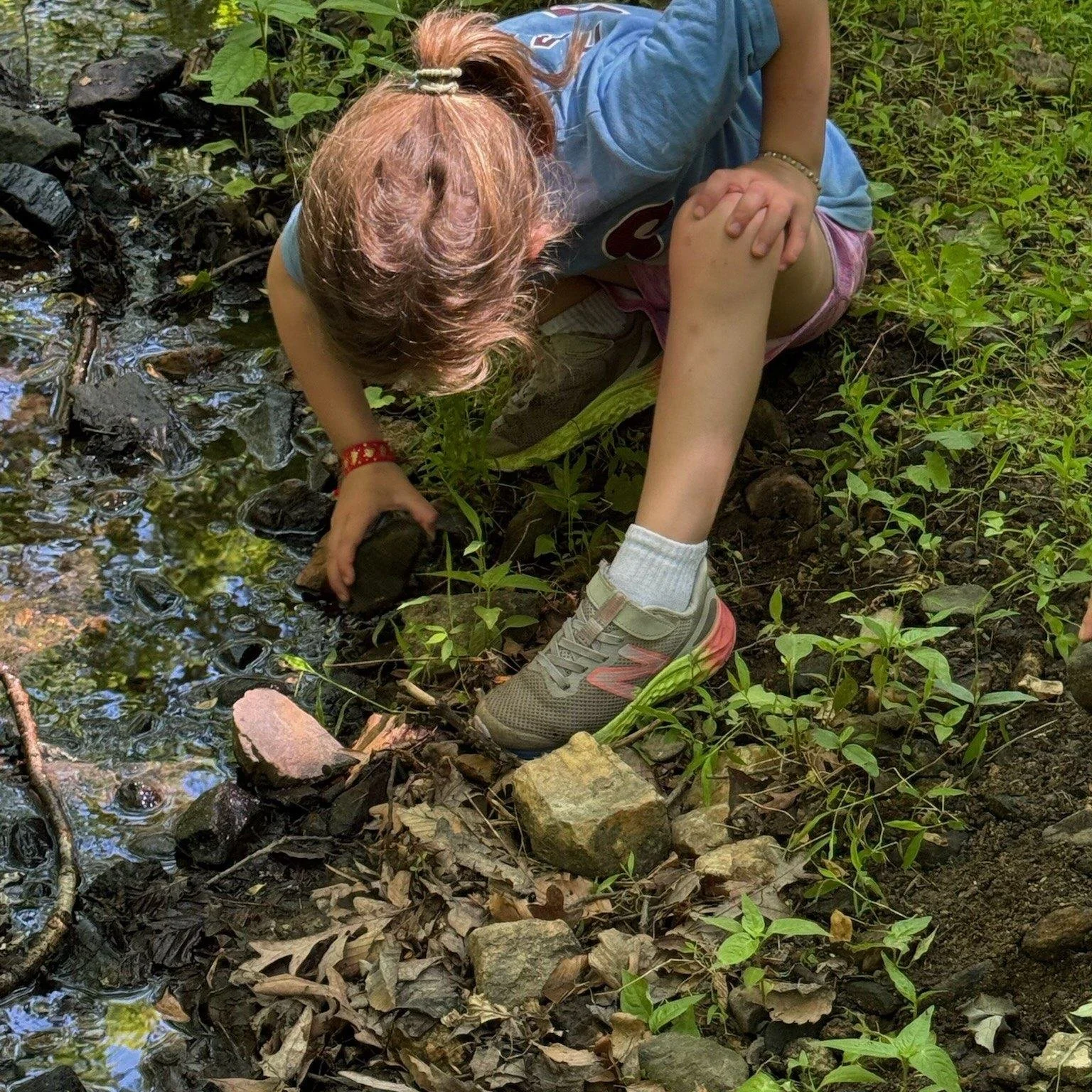 It was a perfect week to investigate the creek! 😎 🔆💦