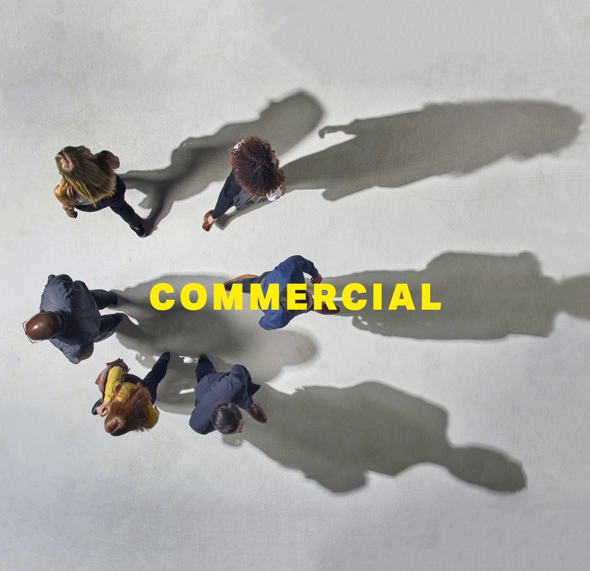 SELECTED COMMISSIONS