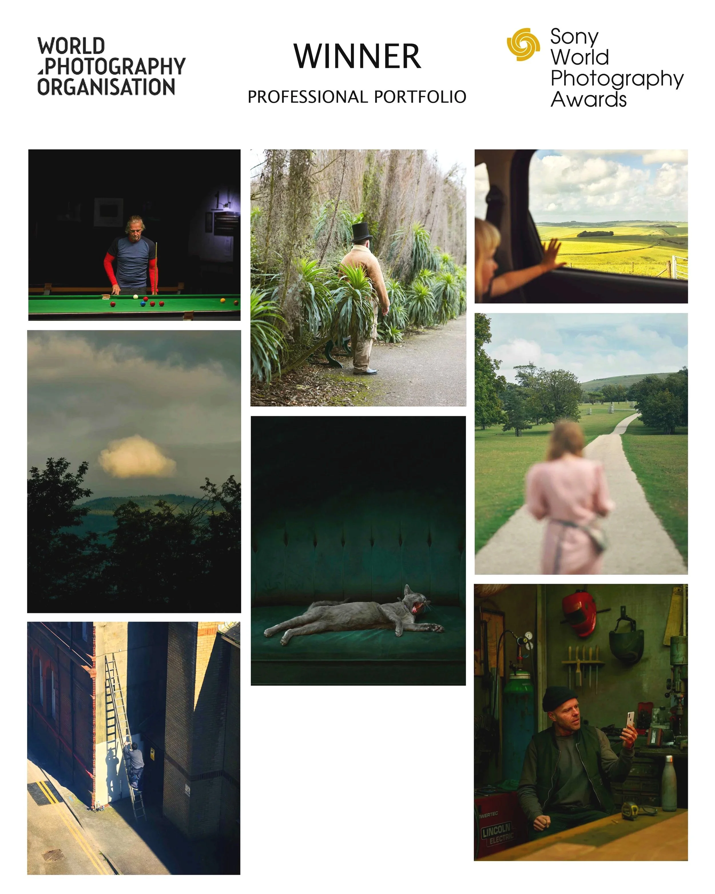 Collage of images with a label indicating a photography award. Top left: man playing pool in a dark room. Second row, middle: person with hat walking through a lush, green garden. Top right: child waving from inside a vehicle with a countryside view 