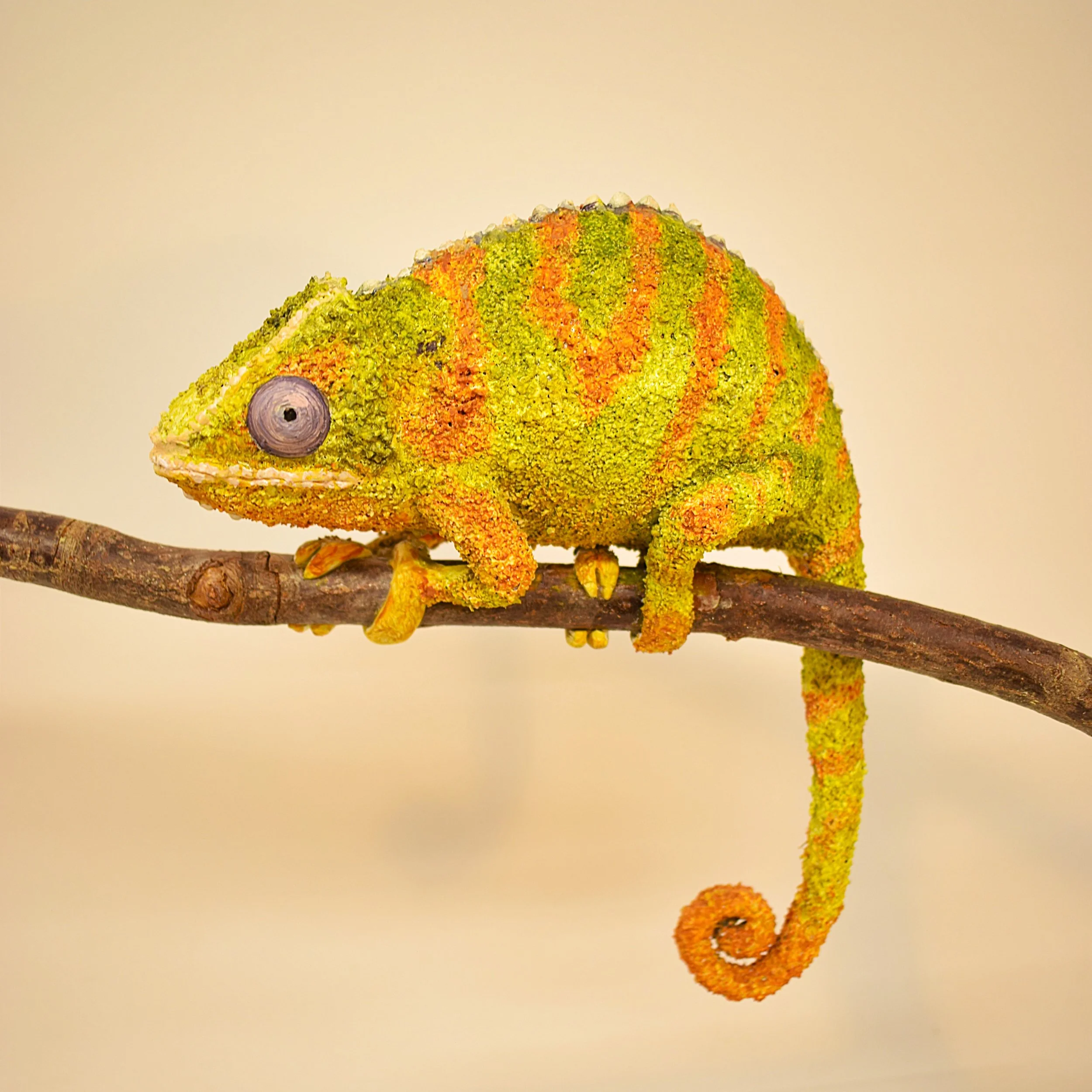 Chameleon.JPG