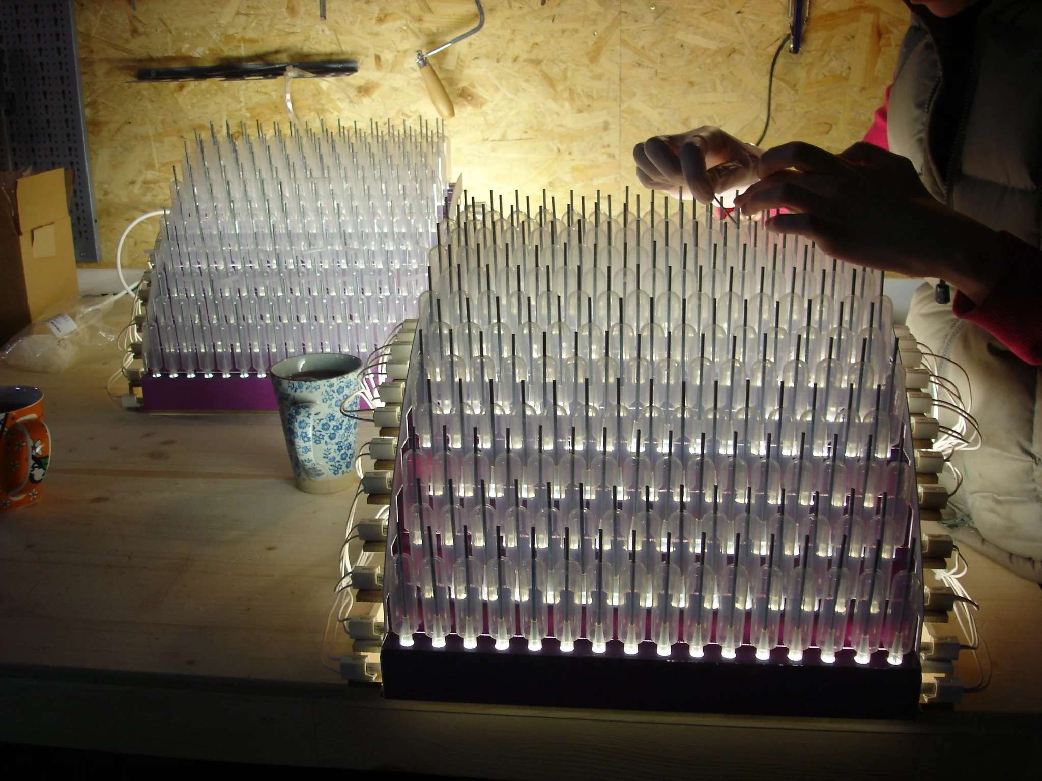 Incubator Lights.JPG