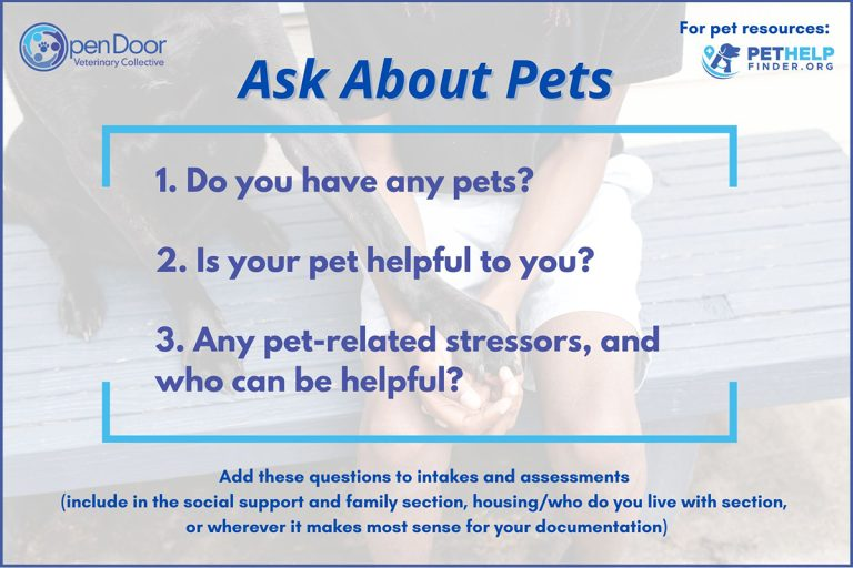 Ask About Pets! - A Trauma-Informed and Ethical Call to Action for Human Service Providers