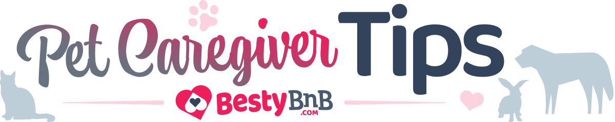 BestyBnB Pet Caregiver Tips