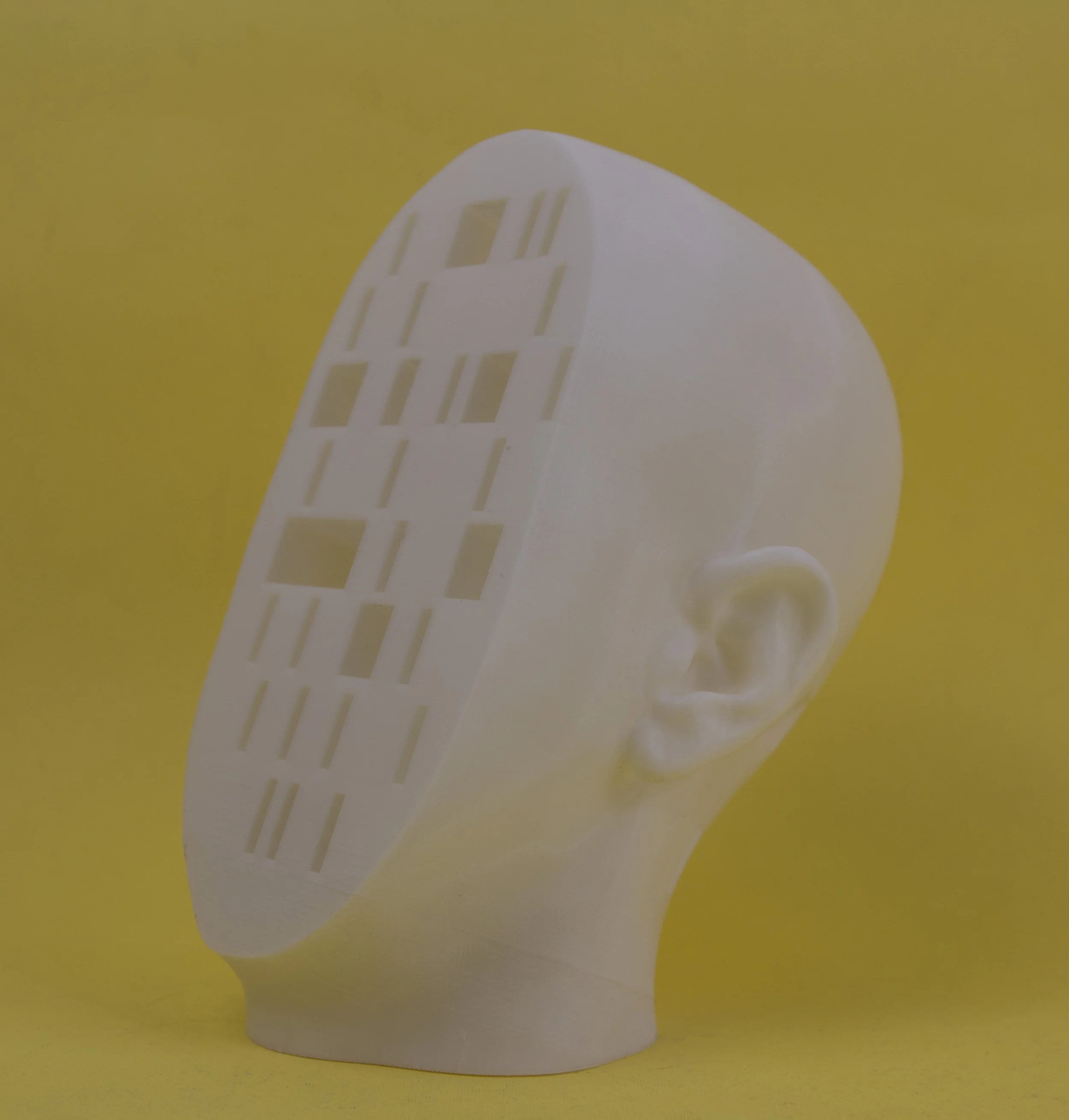 3D printed head in Egypt