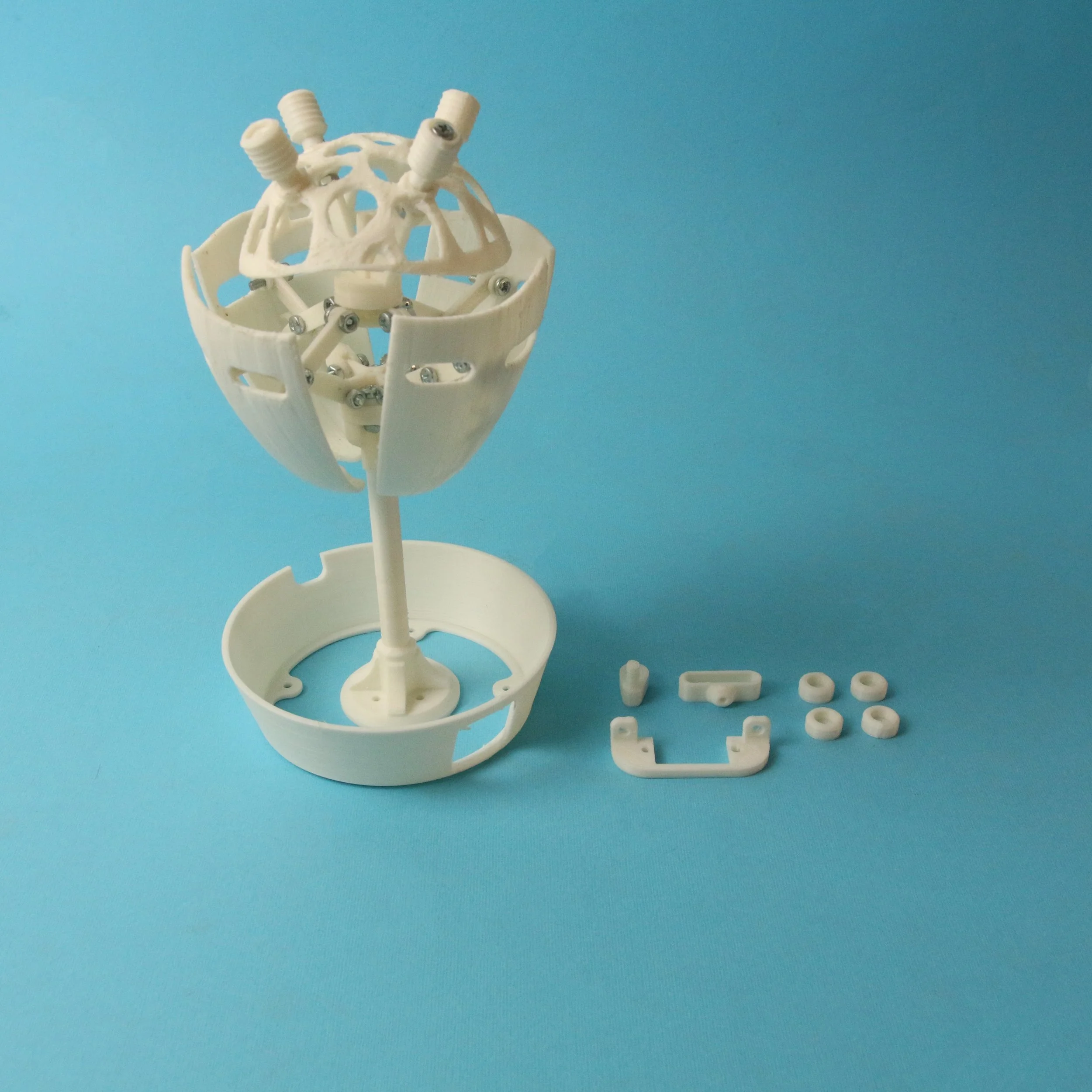 3D printed heart visualizer in Egypt
