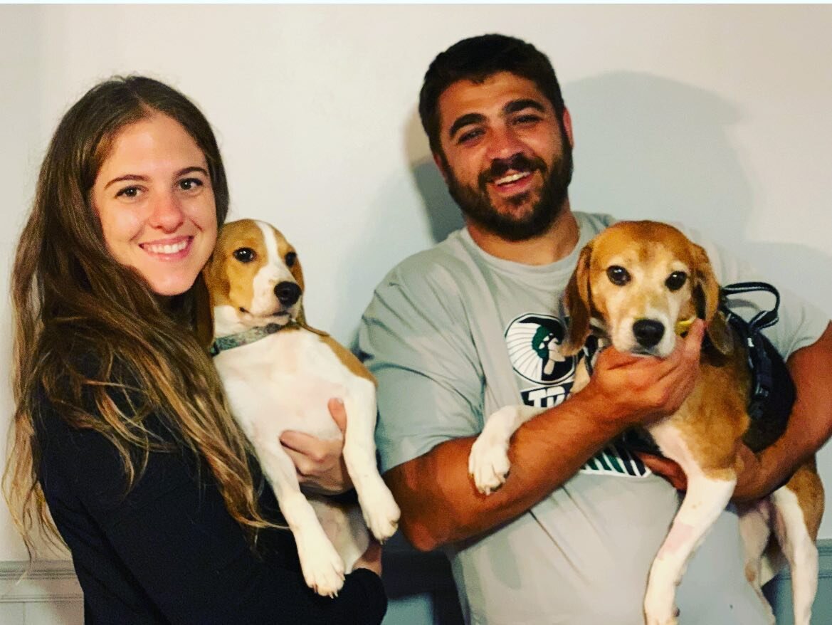 GOOD NEWS FRIDAY 🥰🥳 Charlie (now Chance) just got a sister! Snow White has found her forever home with Rachel, Carl &amp; her new beagle fur sibling, Chance!!🥰🐾

Congratulations to this beautiful family!!!! These pups have found their forever hom