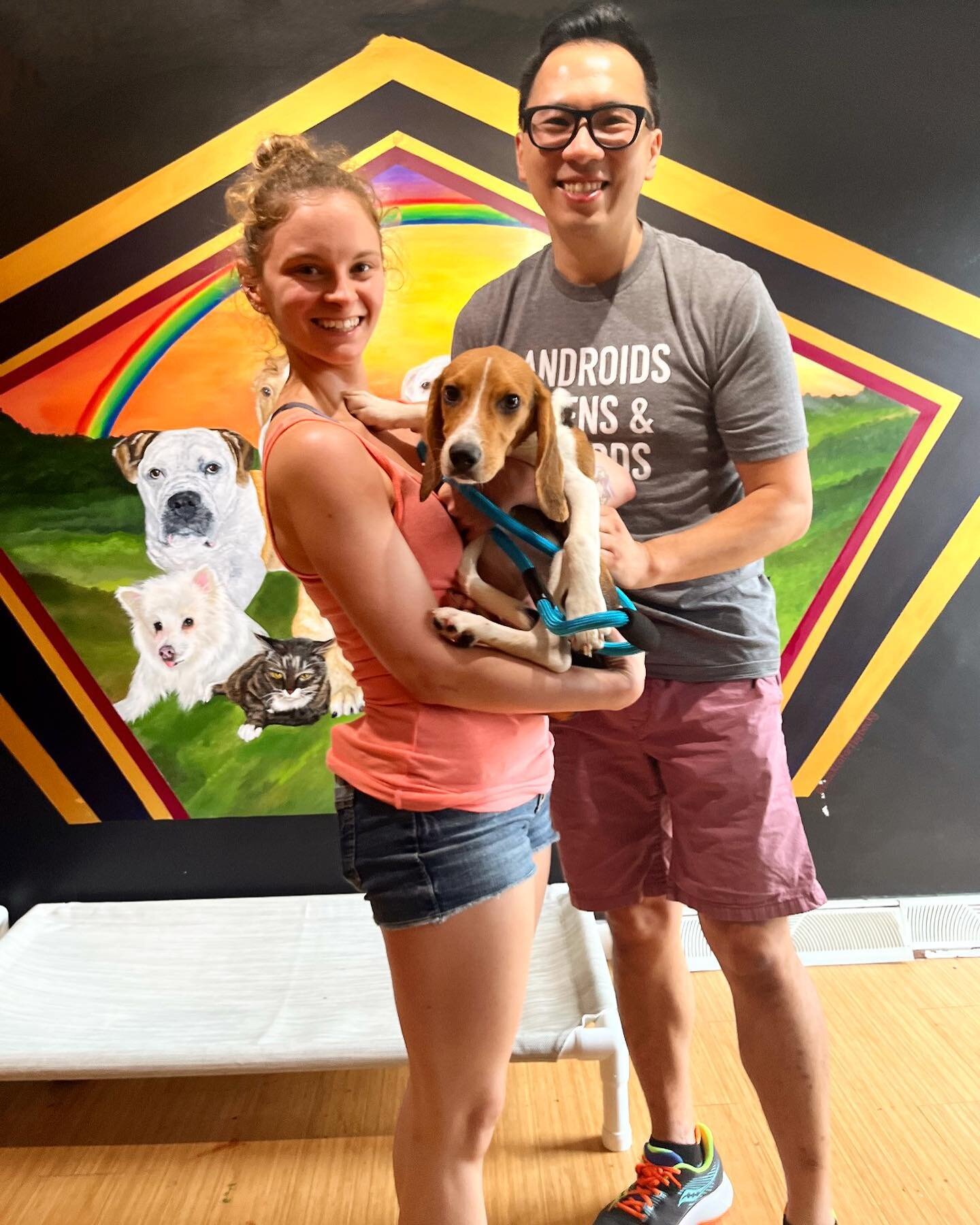 Portrait of a beautiful, new family 🥰❤️🐾 Congratulations to @woahitsbecky @longqhongphoto and BENNY the Beagle!!!! 🥳

No better way to start the day, than with a forever home! We are so happy for all 3 of you 🥰

Love,
The Heart of Glass Family 

