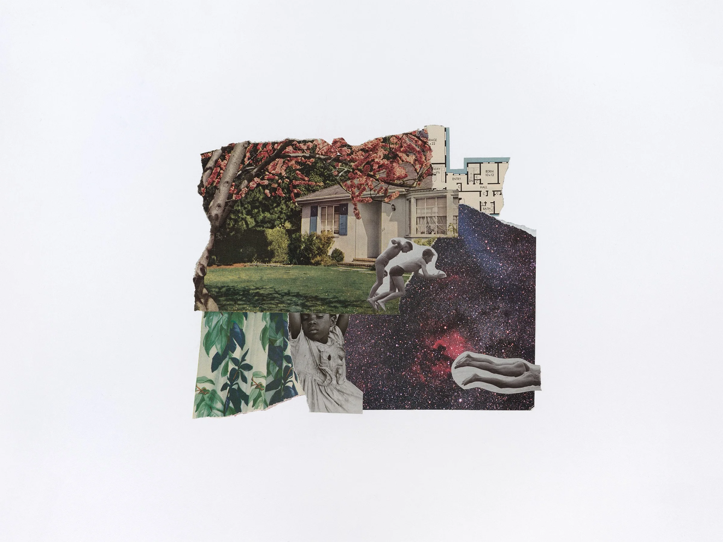 vilutis-c-american-lawns-tier1-web 2.jpg