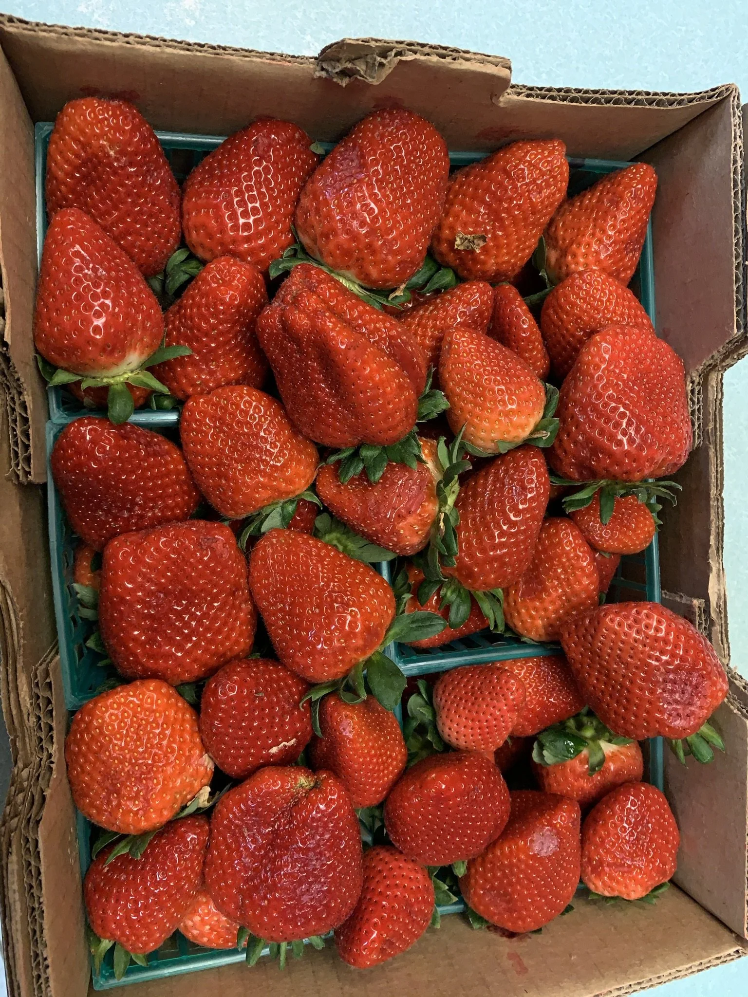 Products — Hill Top Farmz