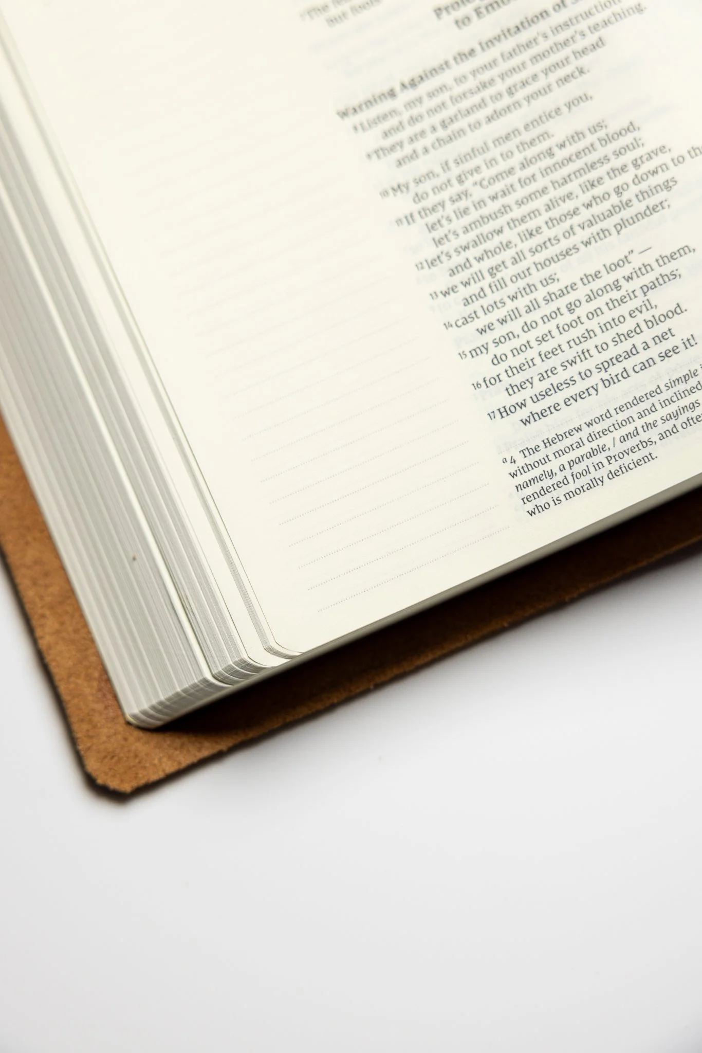 scriptura-niv-journaling-bible-43.jpg