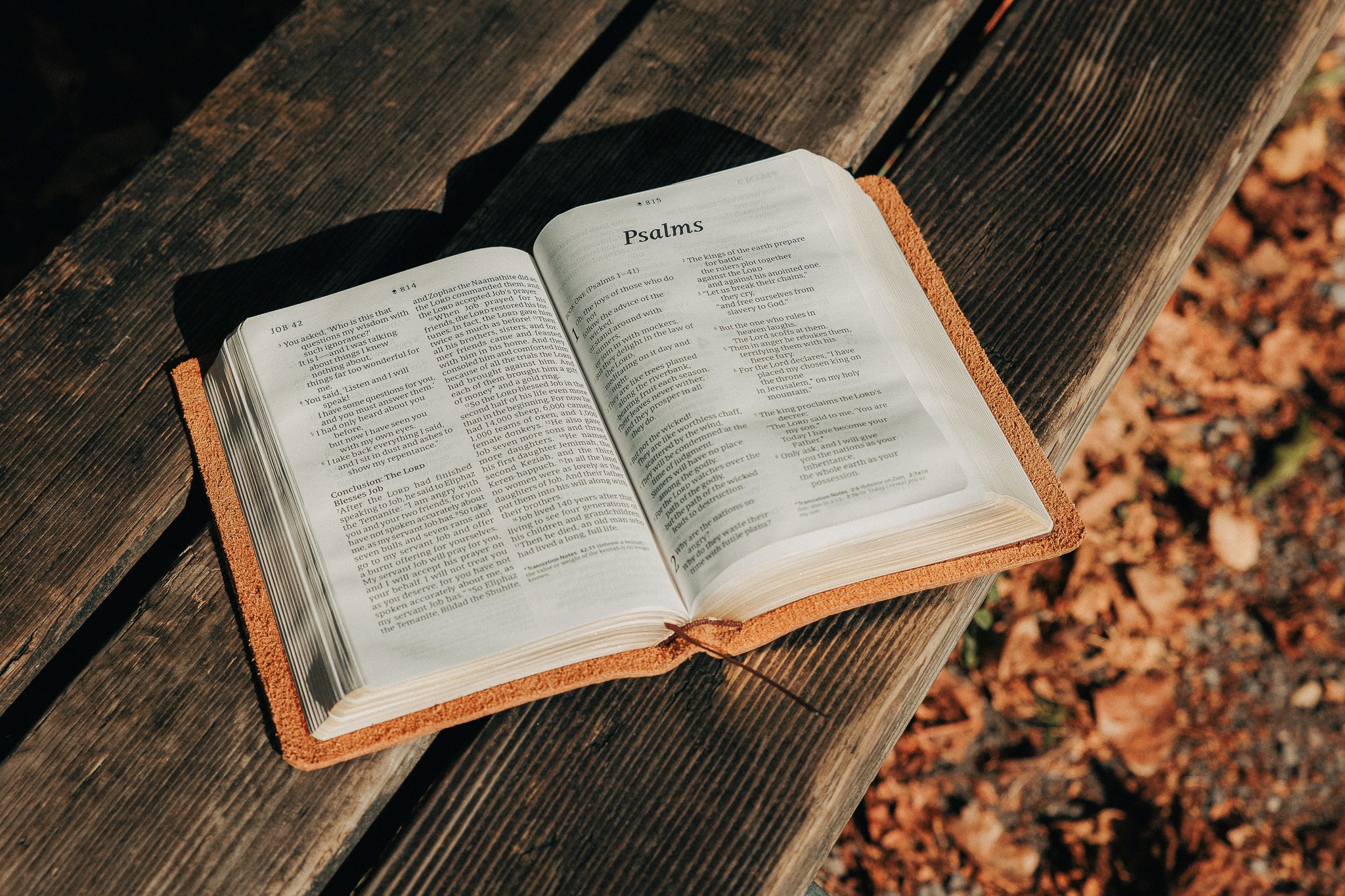 NLT Compact Leather Bible, Scriptura Bibles