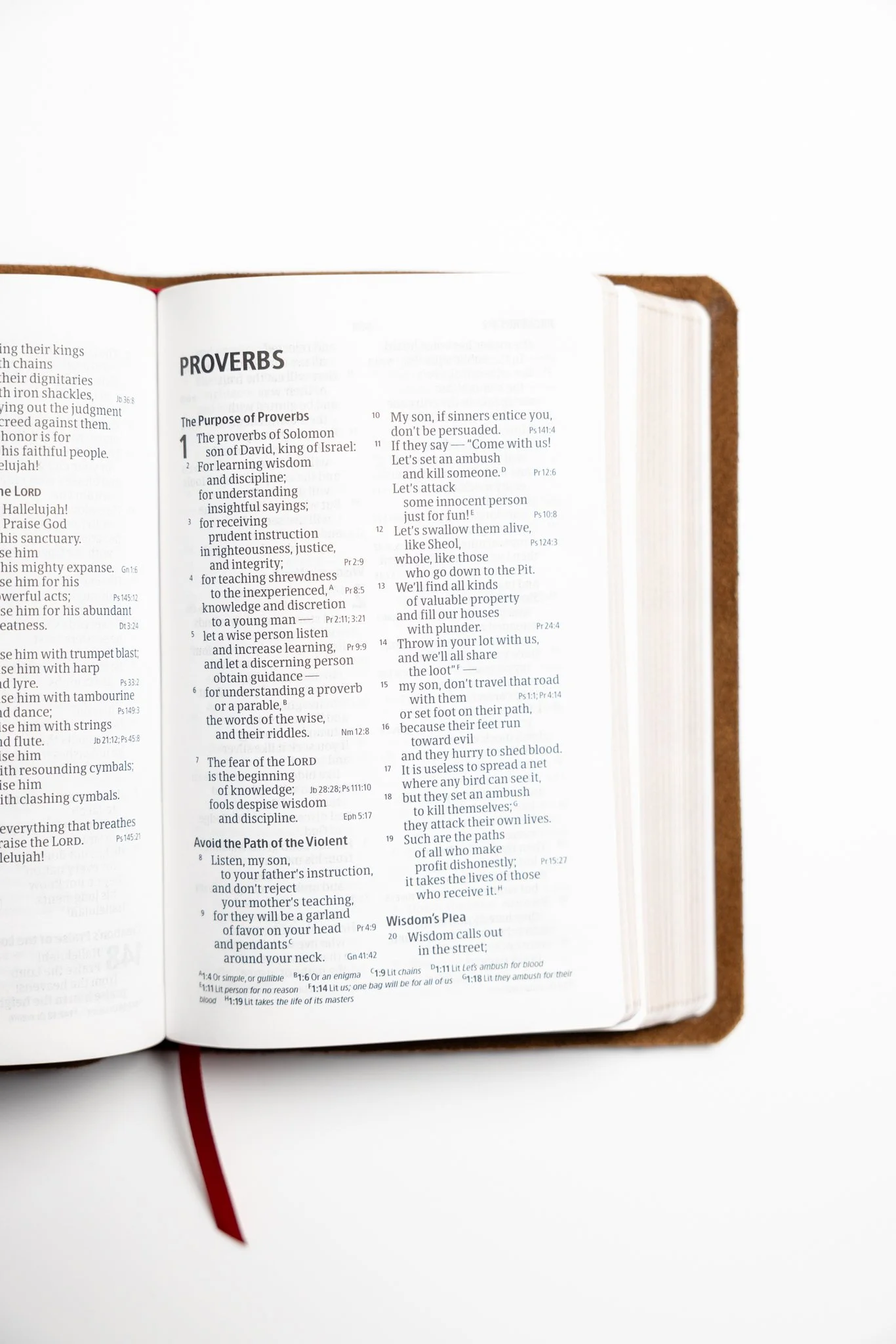 scriptura-csb-large-print-compact-reference-bible-07.jpg