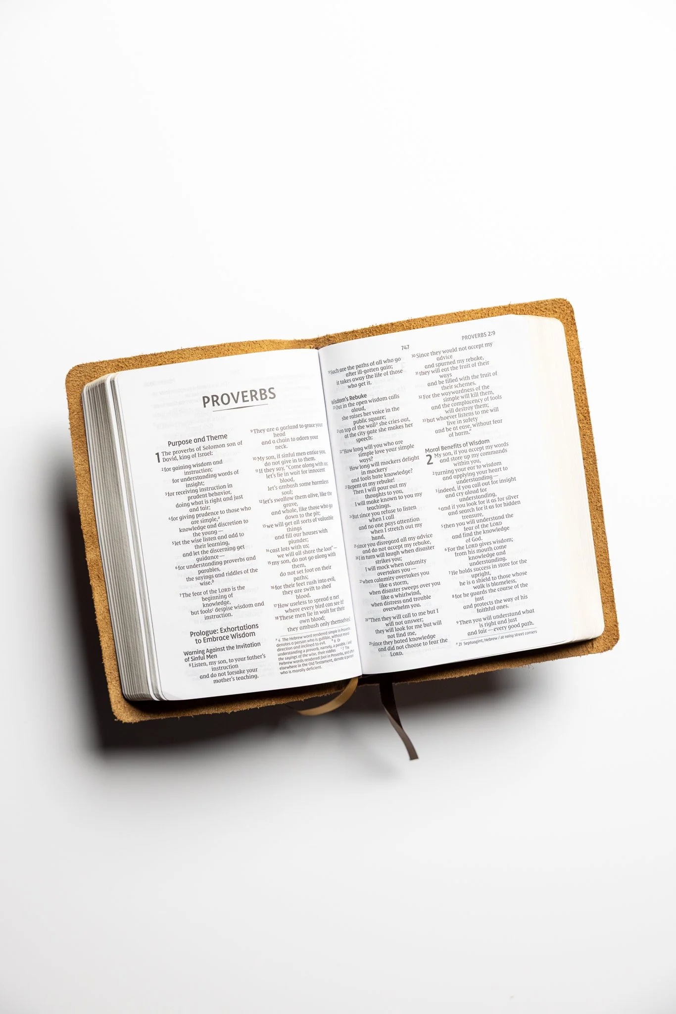 scriptura-niv-large-print-compact-bible-07.jpg