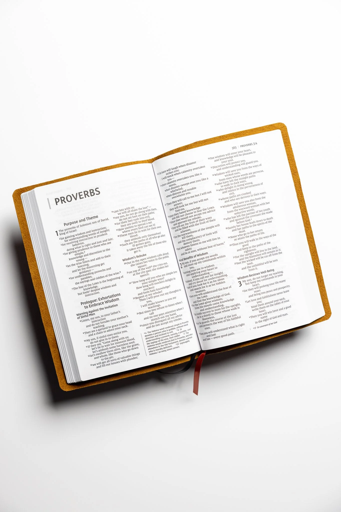 scriptura-niv-large-print-thinline-bible-02.jpg