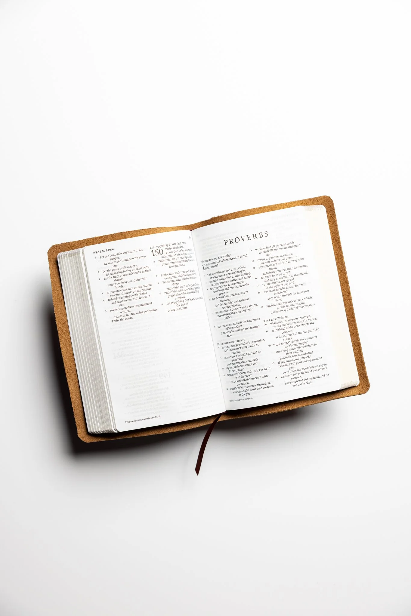 scriptura-esv-large-print-compact-bible-05.jpg