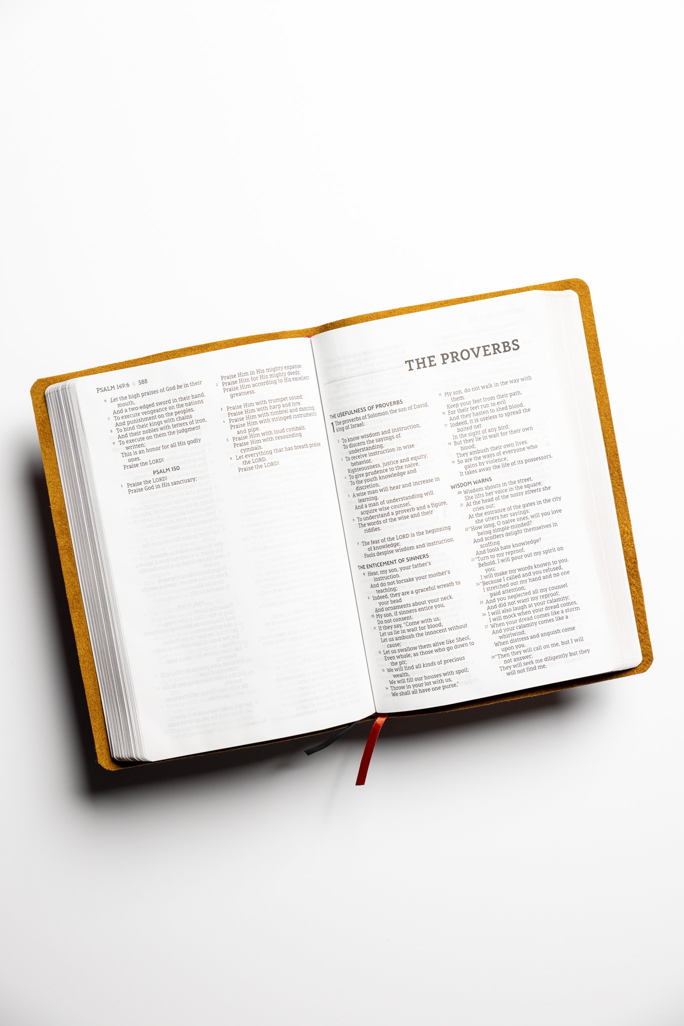 scriptura-nasb-large-print-thinline-bible-02.jpg