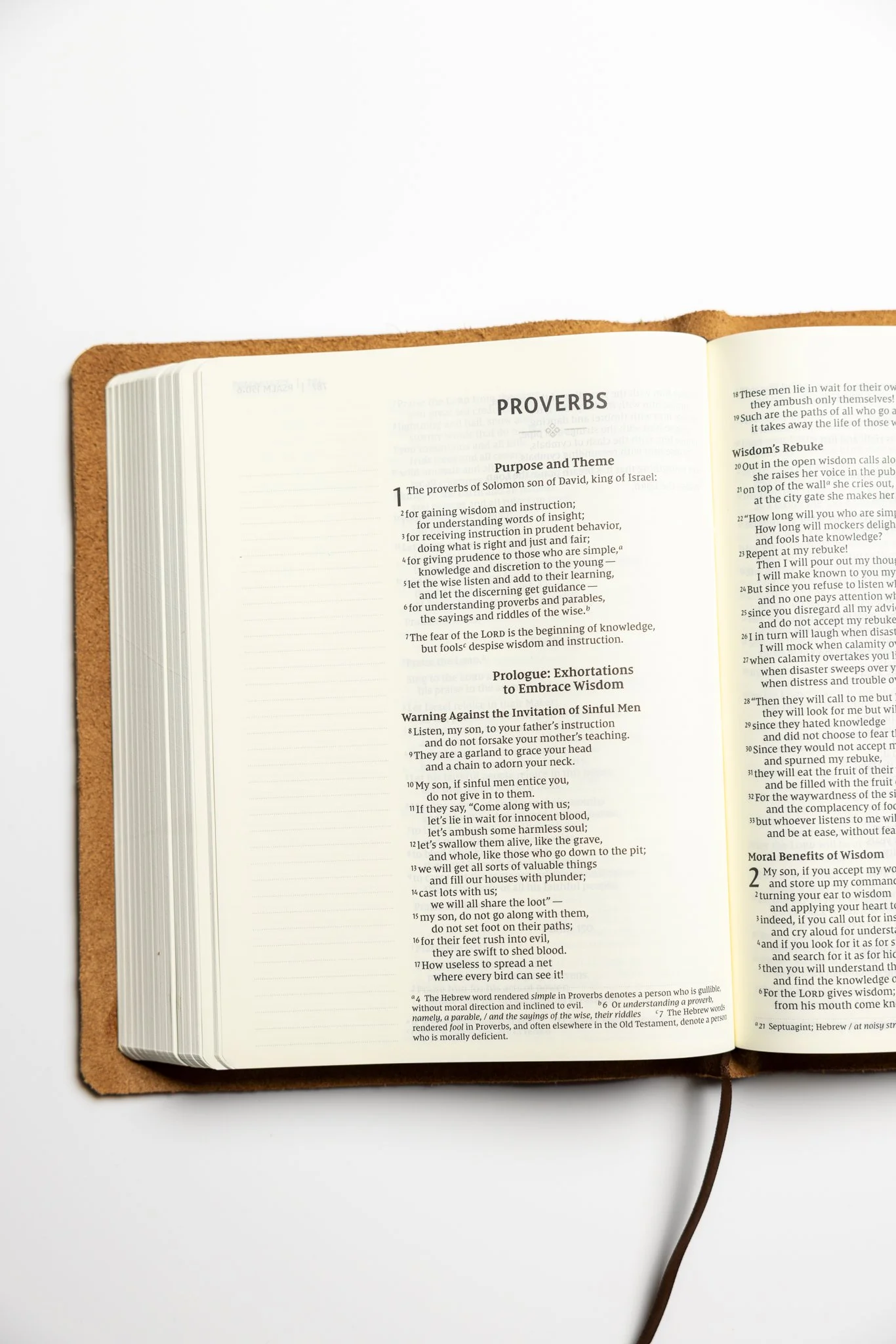 scriptura-niv-journaling-bible-40.jpg