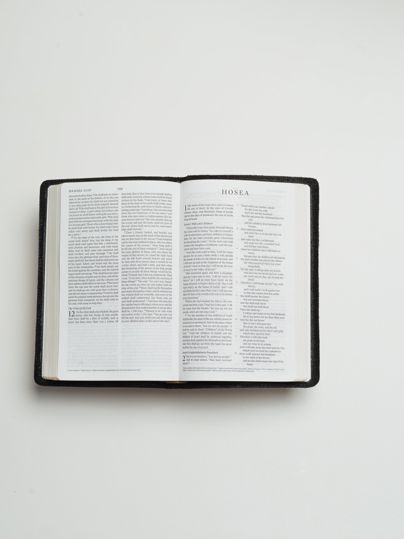 ESV_Thin_Blk_Open.jpg