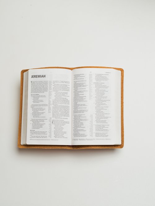 Surligneur Staedtler à cire, Display de 30 pièces - Pour Bible :: La Maison  de la Bible Suisse