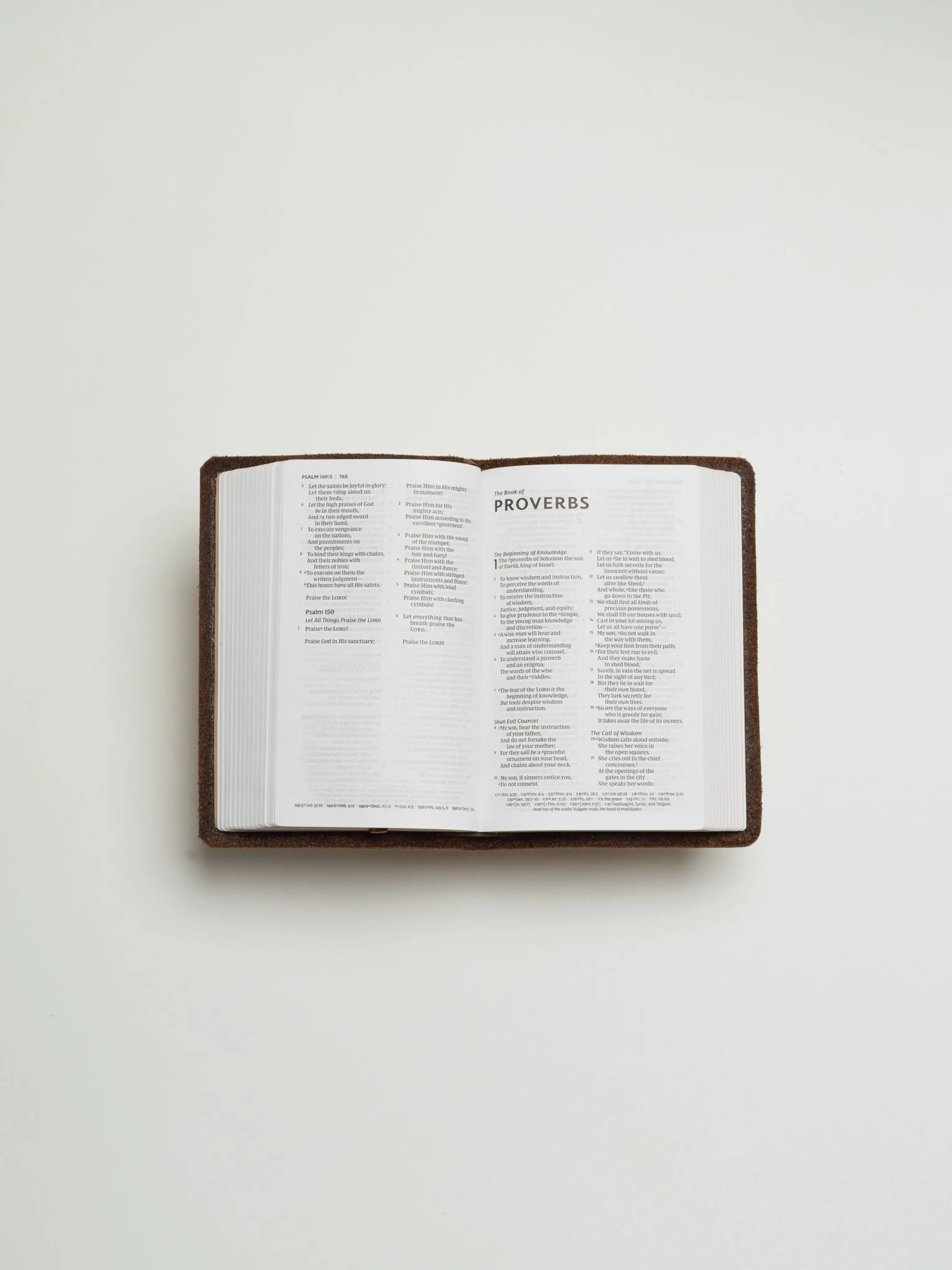 Scriptura bibles nkjv journaling bible