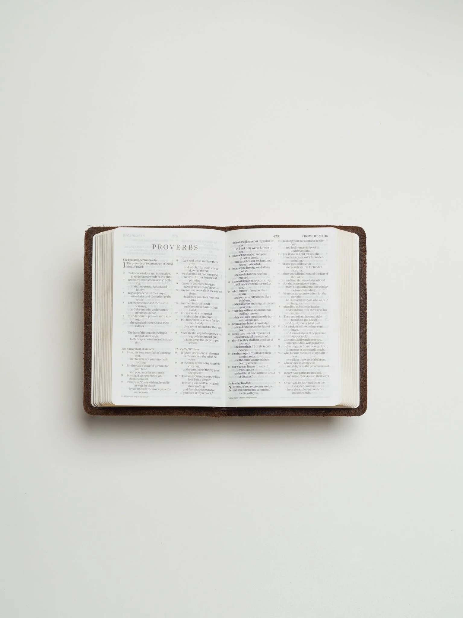 ESV_Comp_Brwn_Open_2.jpg