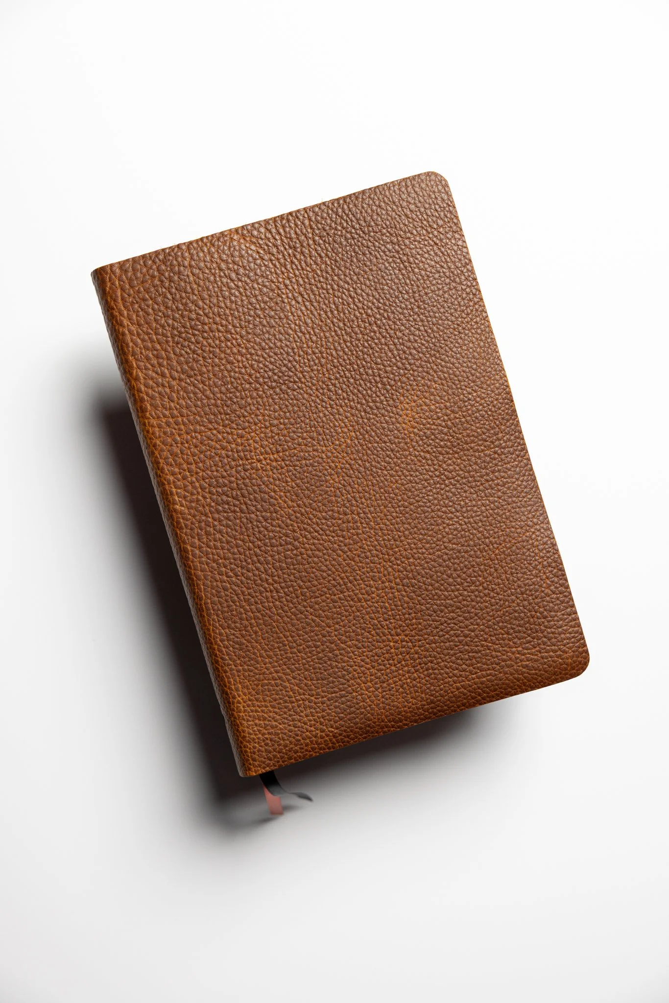 NIV Bible, Large Print Thinline Edition