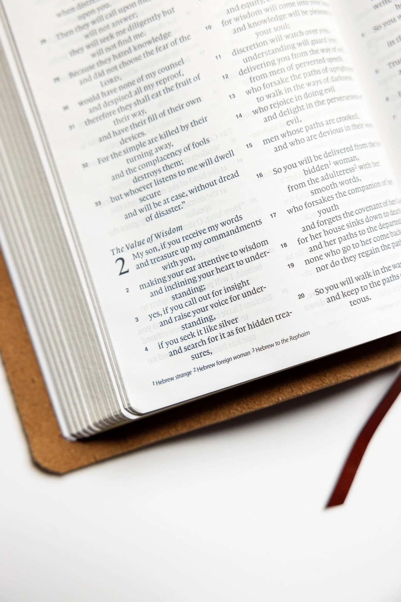 scriptura-esv-large-print-compact-bible-08.jpg