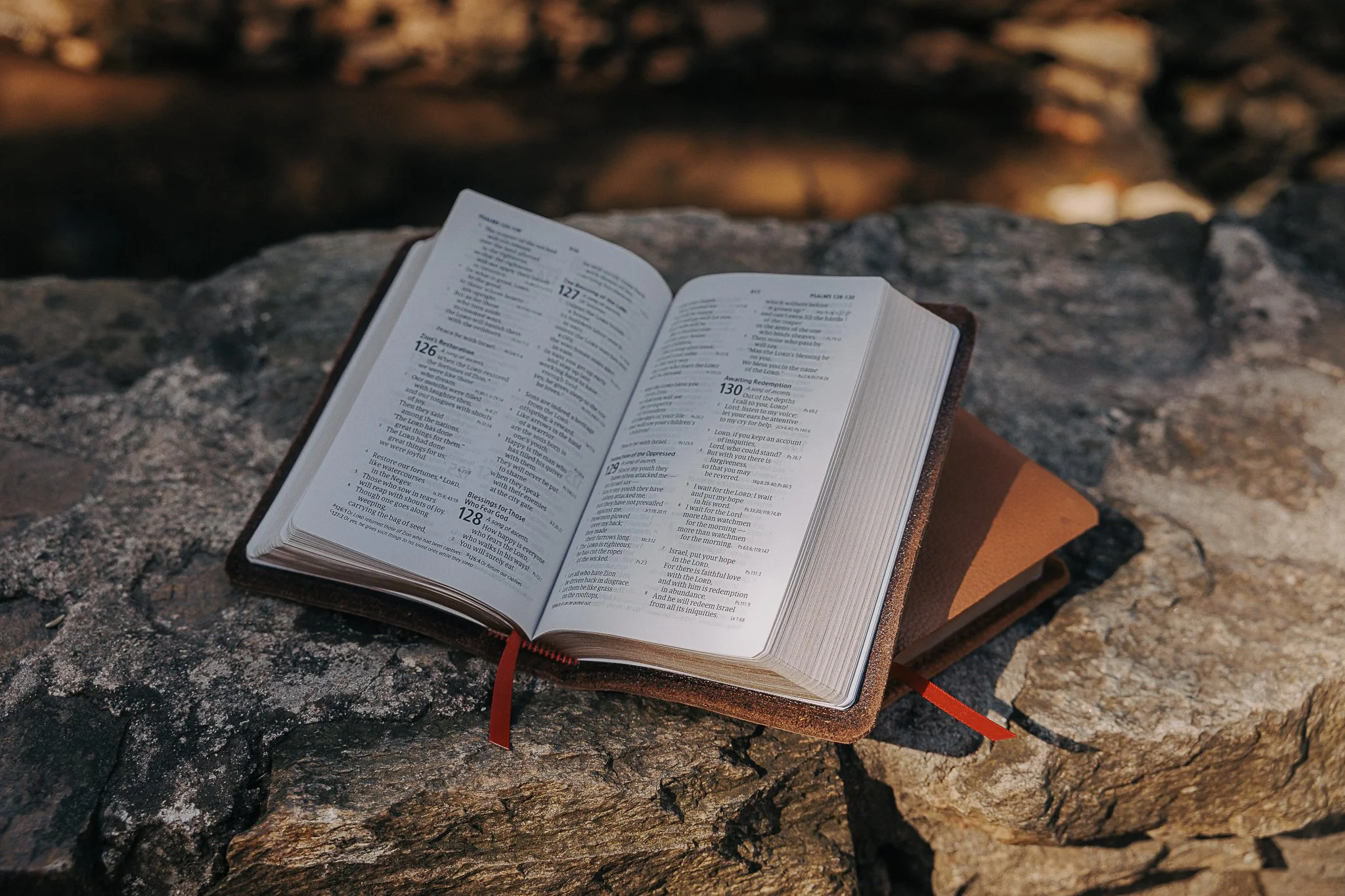 CSB Large Print Compact Reference Leather Bible, Scriptura Bibles
