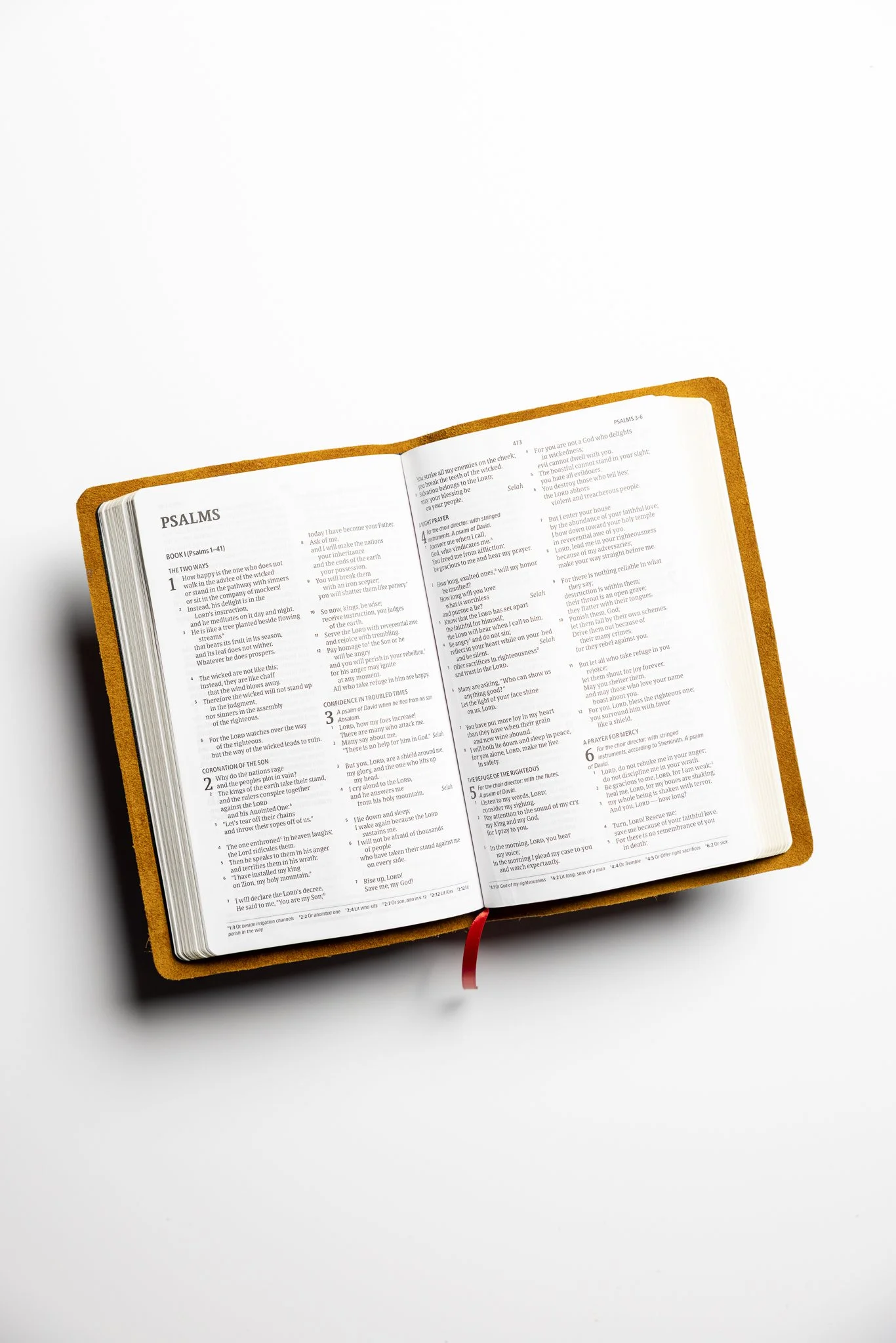 scriptura-csb-thinline-bible-06.jpg
