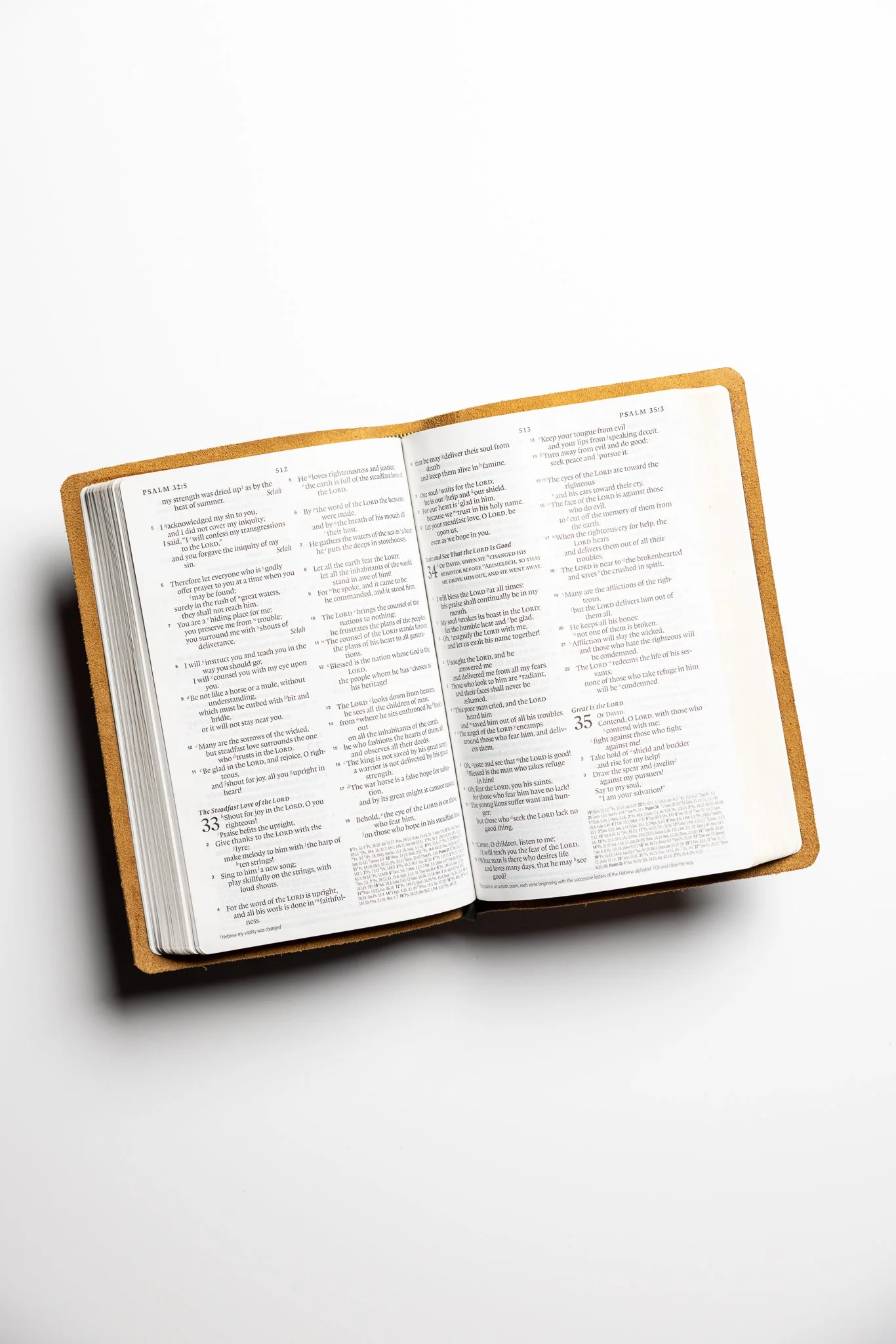 scriptura-esv-large-print-thinline-reference-bible-20.jpg
