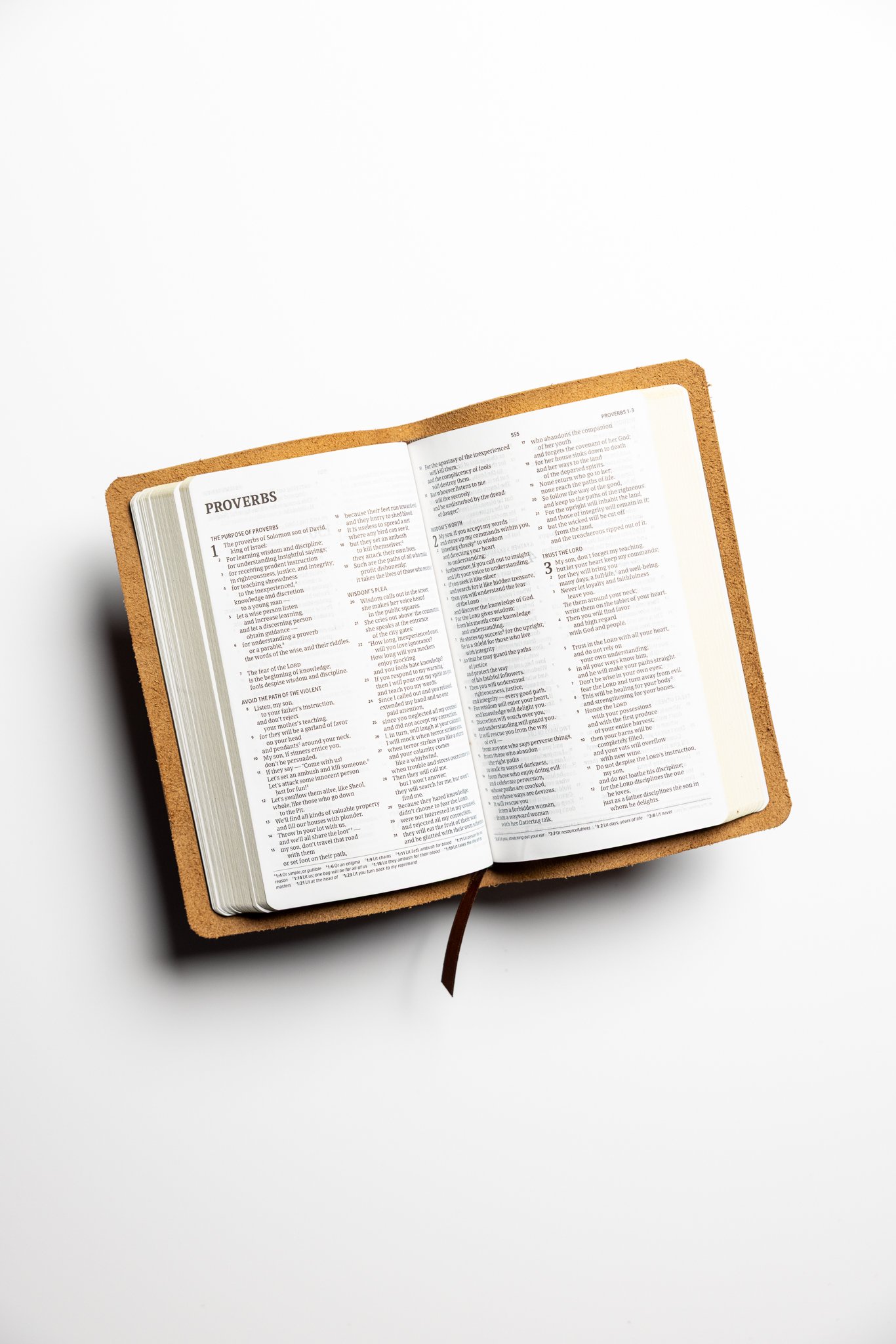 scriptura-csb-personal-bible-02.jpg