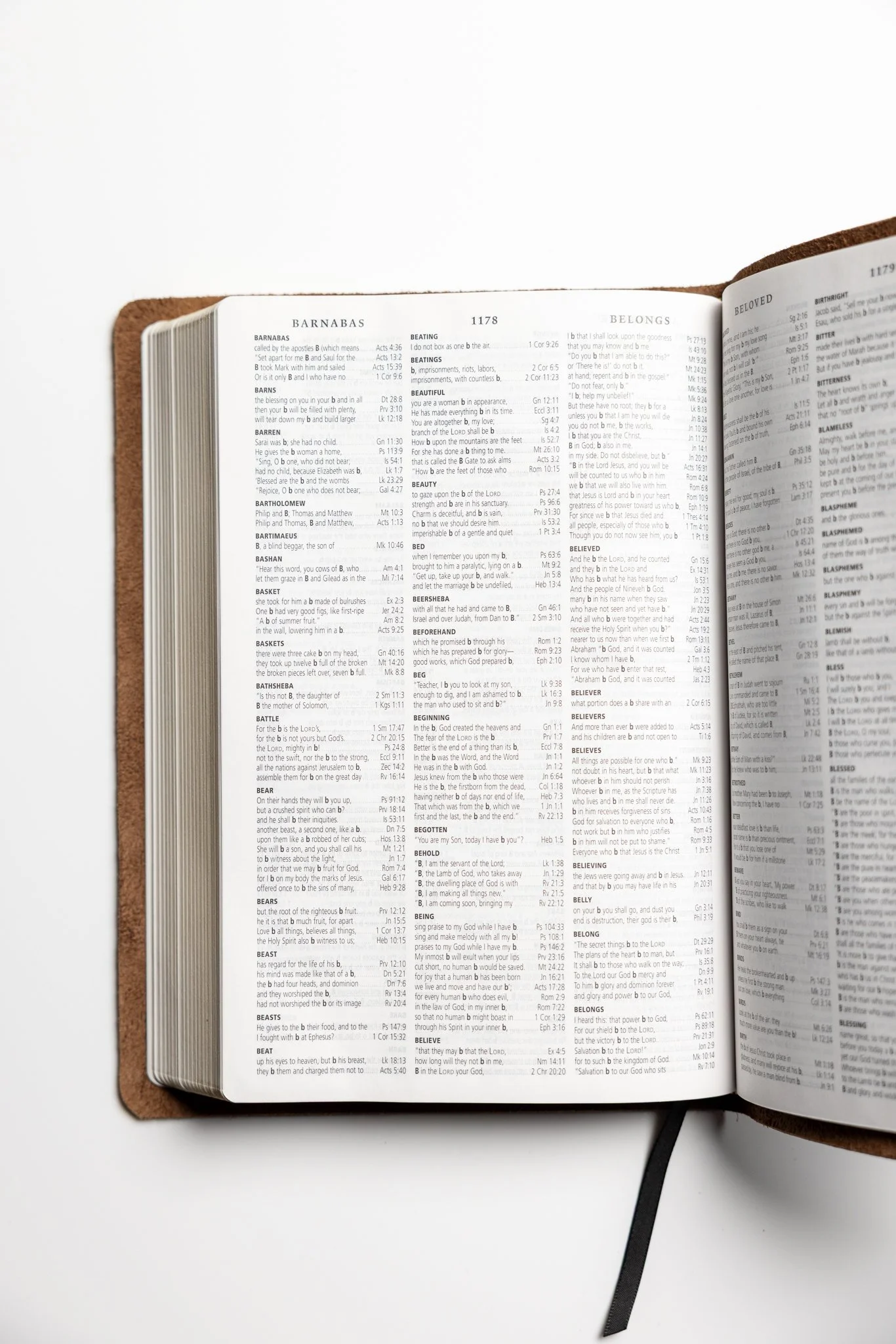 scriptura-esv-large-print-thinline-reference-bible-15.jpg