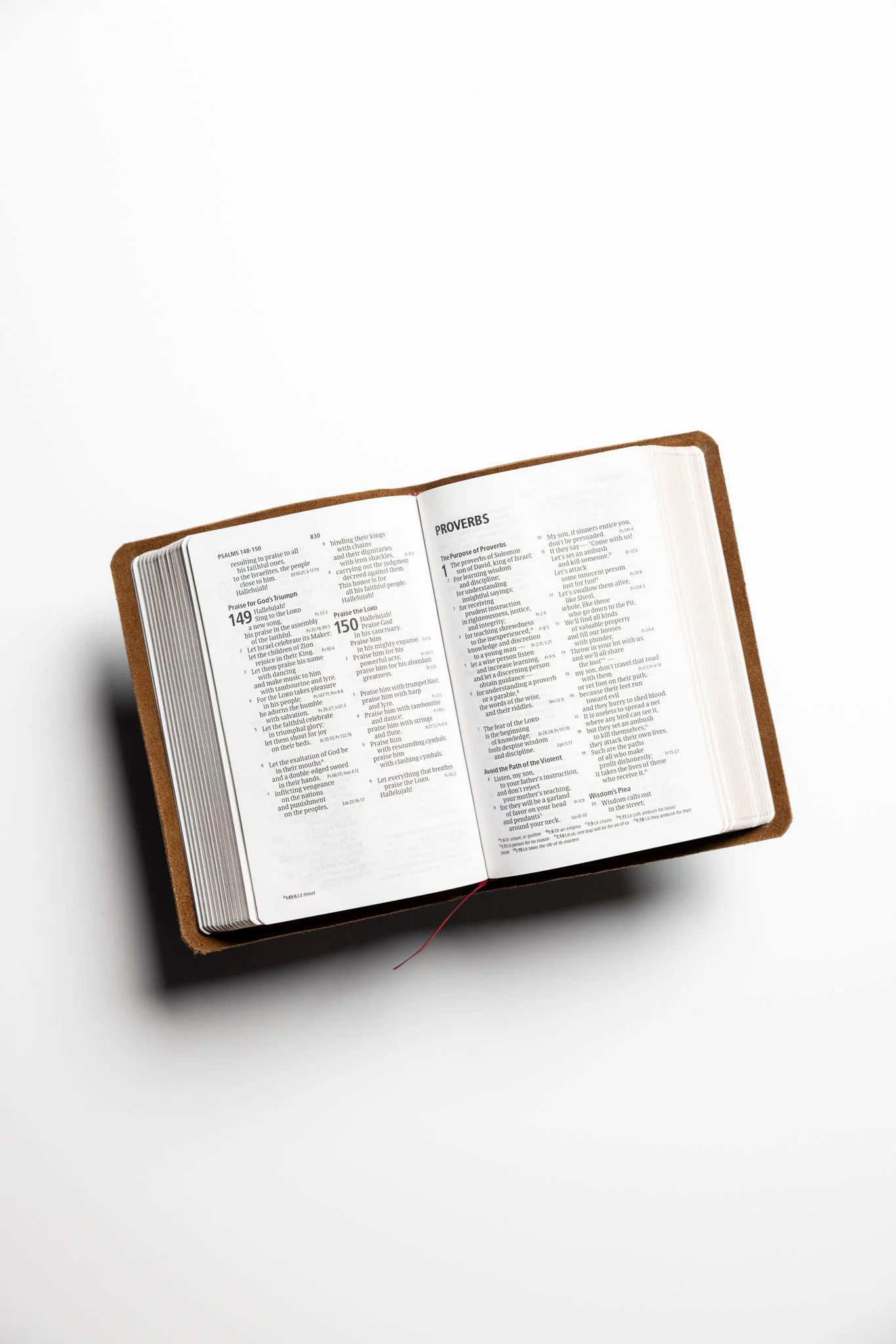 scriptura-csb-large-print-compact-reference-bible-04.jpg