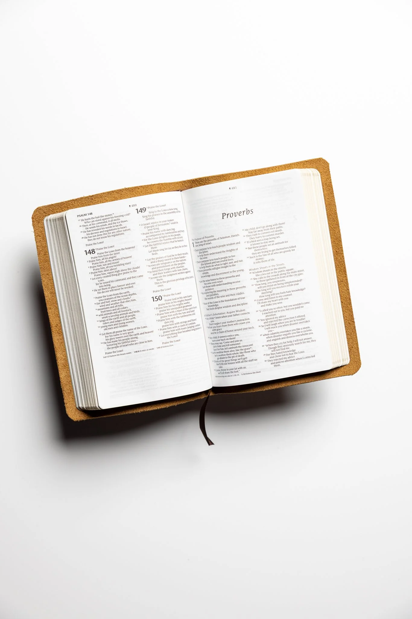 scriptura-nlt-compact-bible-16.jpg