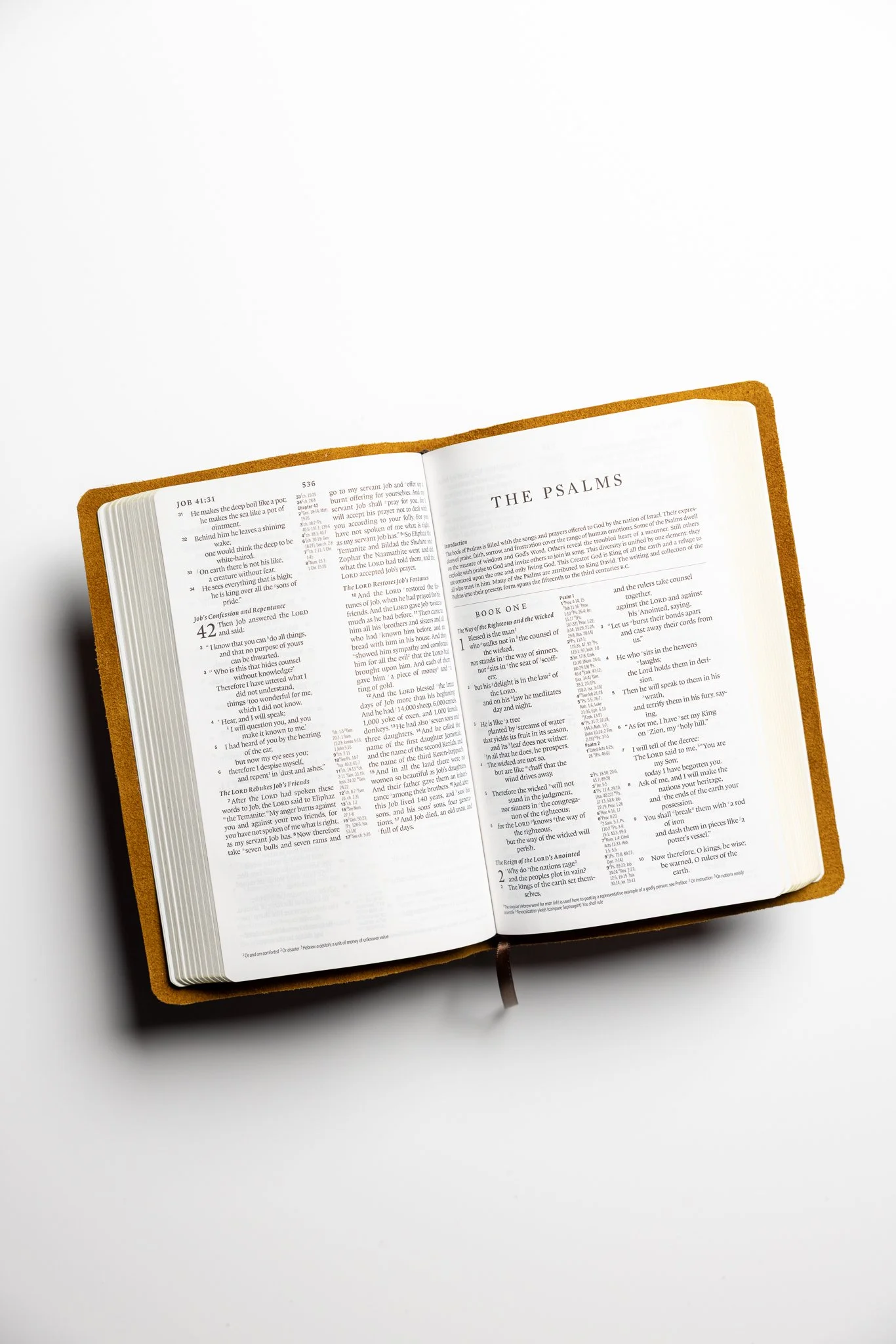 scriptura-esv-reference-bible-04.jpg