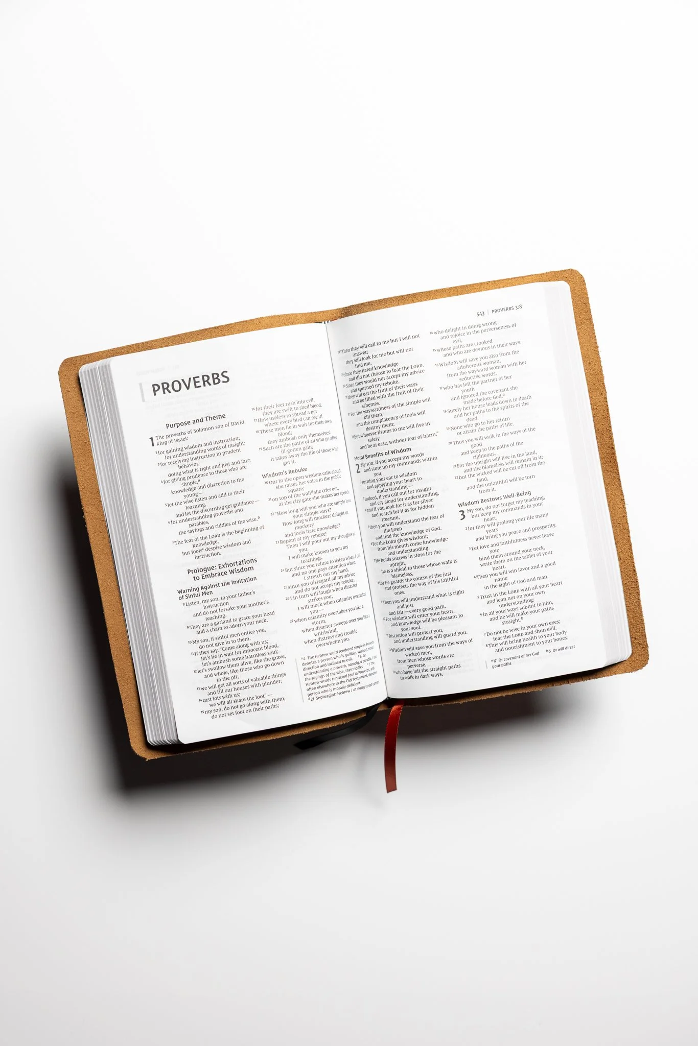scriptura-niv-thinline-bible-08.jpg