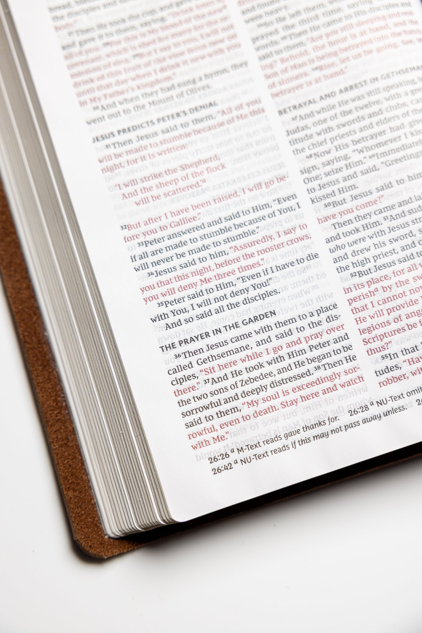 scriptura-nkjv-large-print-thinline-bible-06.jpg