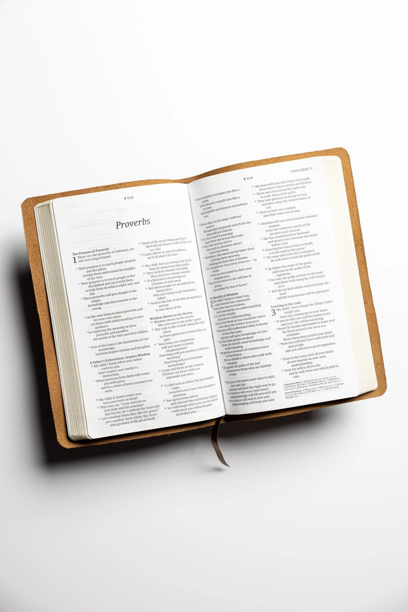 scriptura-nlt-thinline-reference-bible-79.jpg