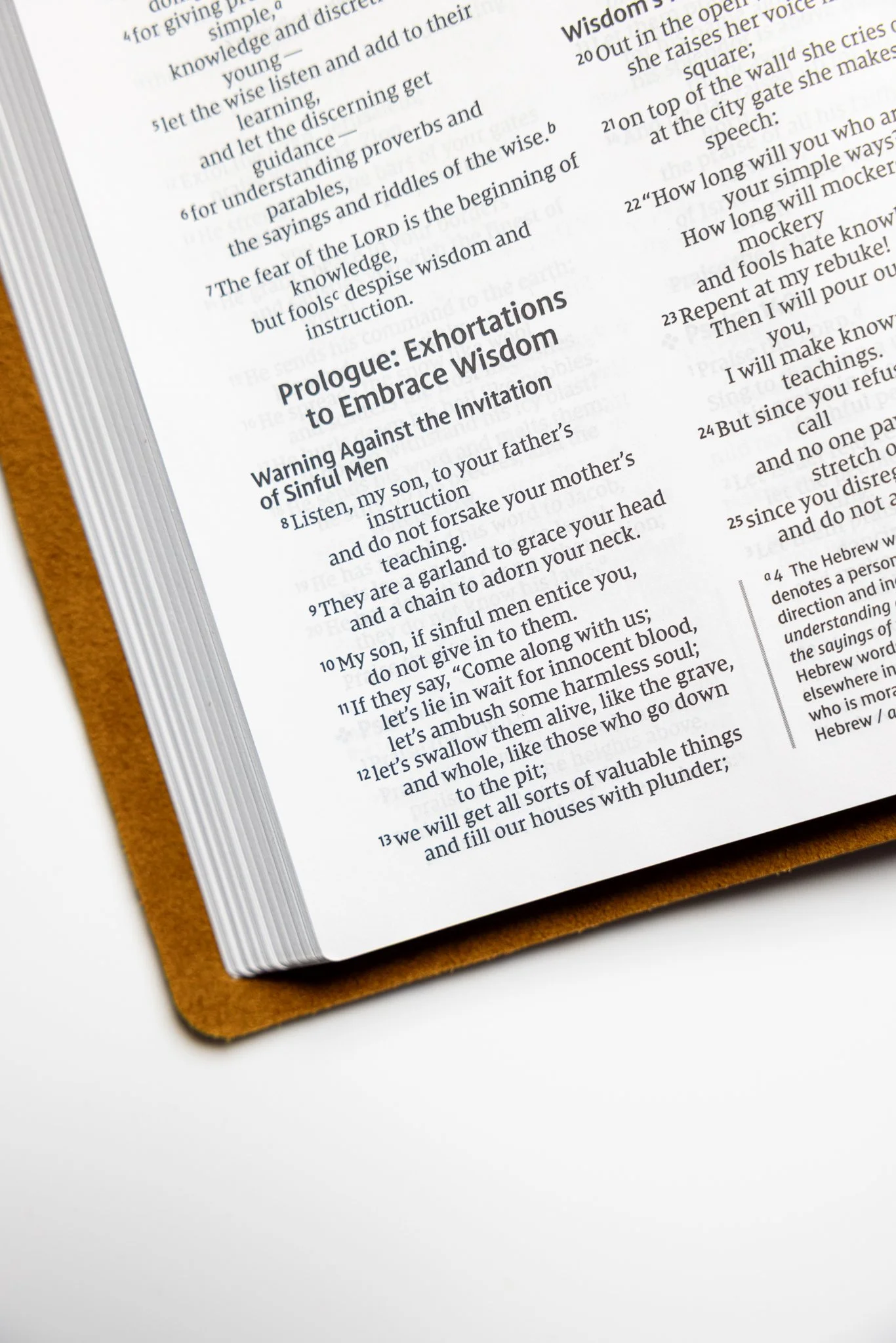 scriptura-niv-large-print-thinline-bible-07.jpg