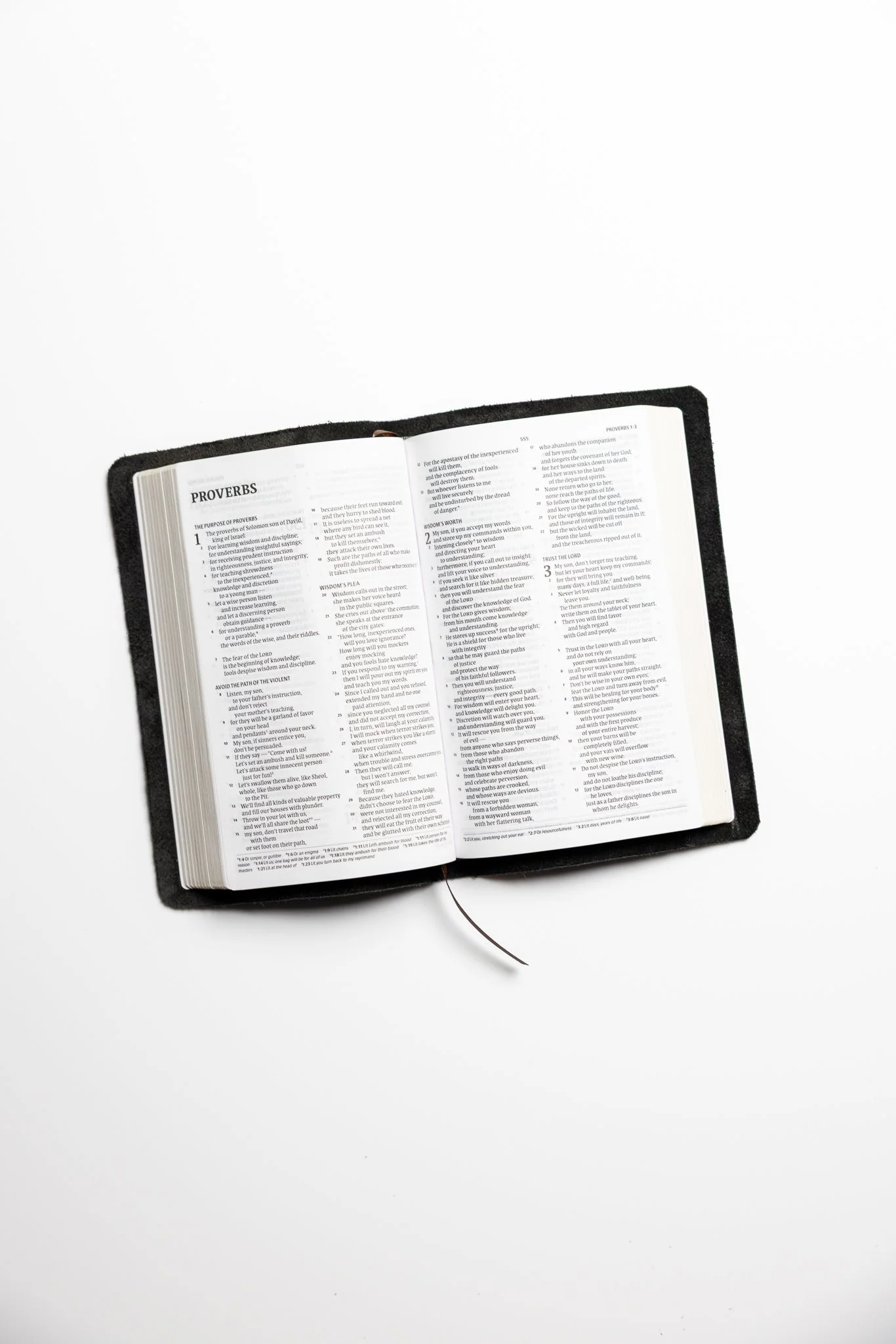 scriptura-csb-personal-bible-11.jpg