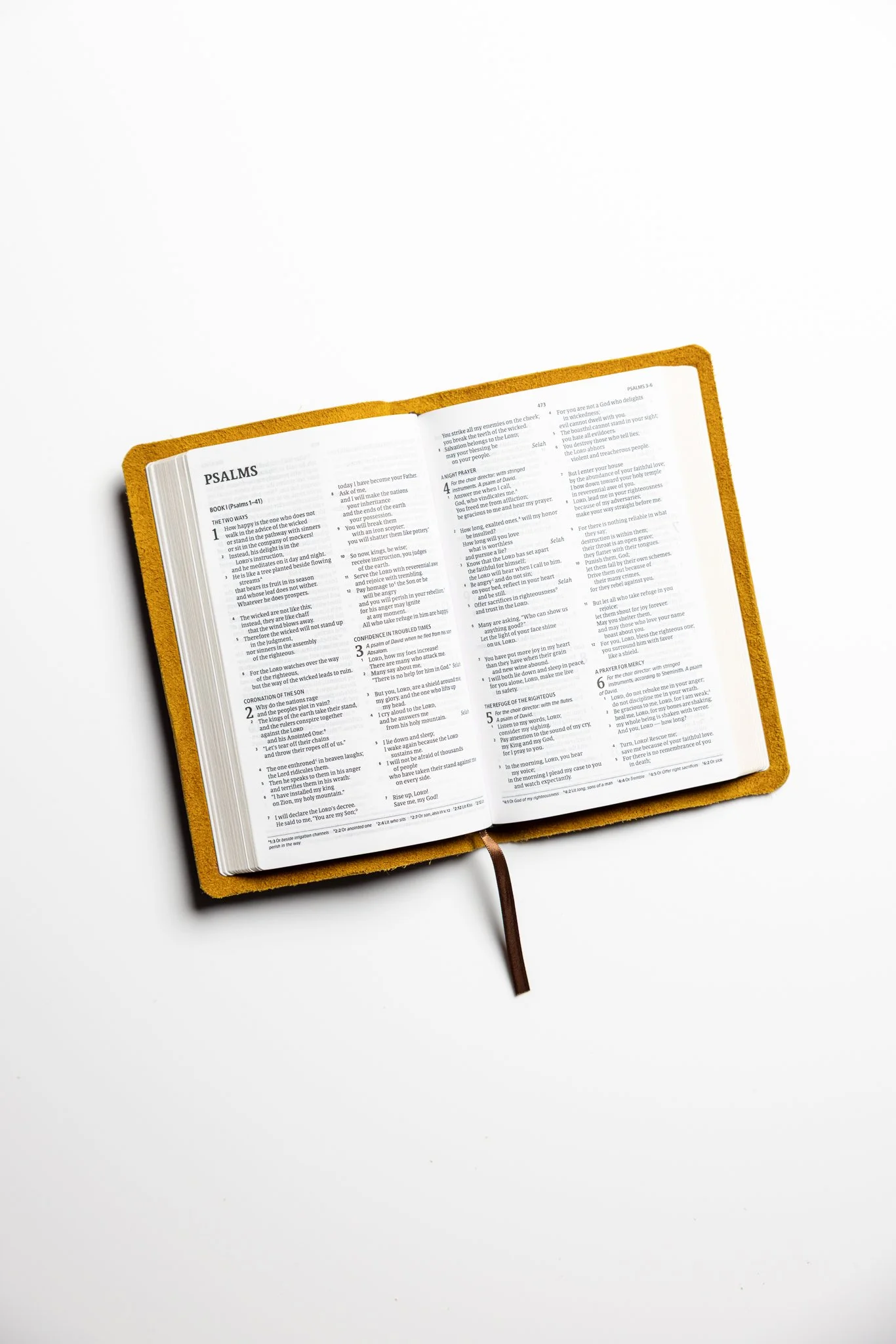 scriptura-csb-personal-bible-20.jpg