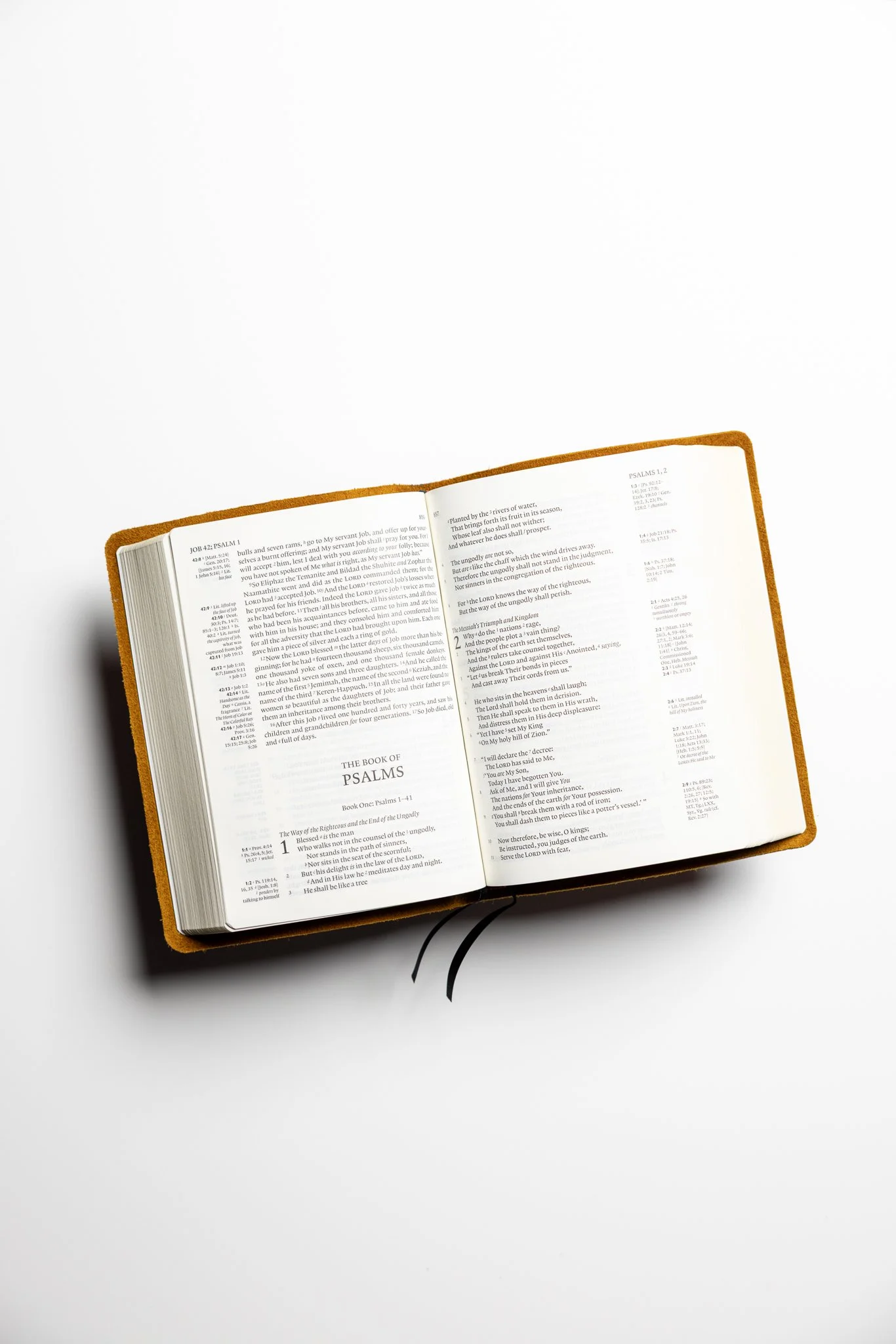 NKJV Clarion Reference Leather Bible by Scriptura