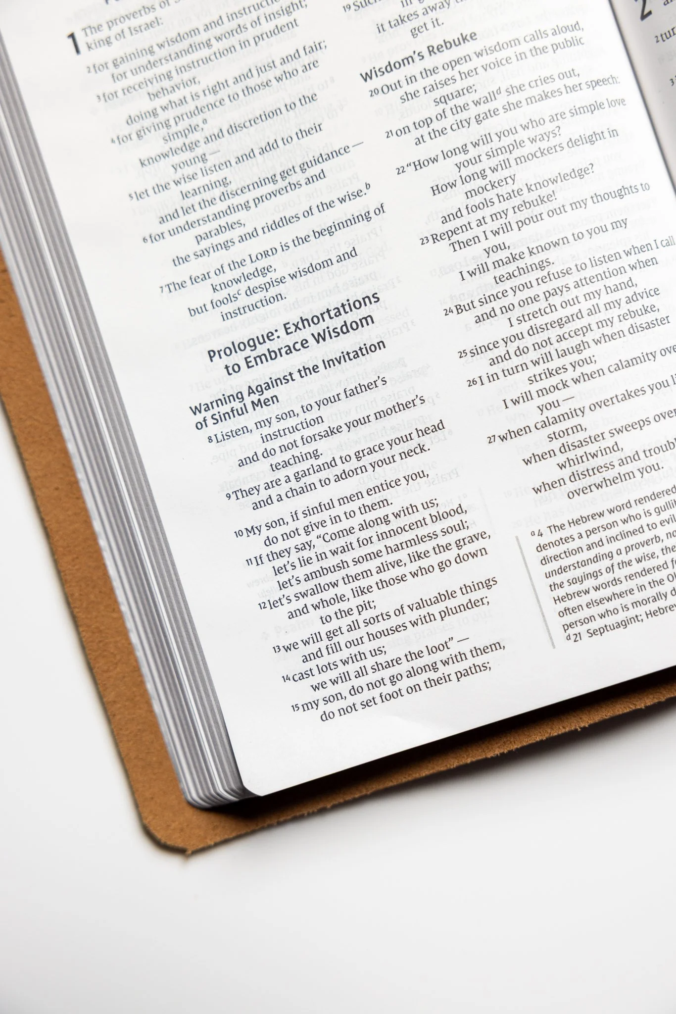 scriptura-niv-thinline-bible-12.jpg