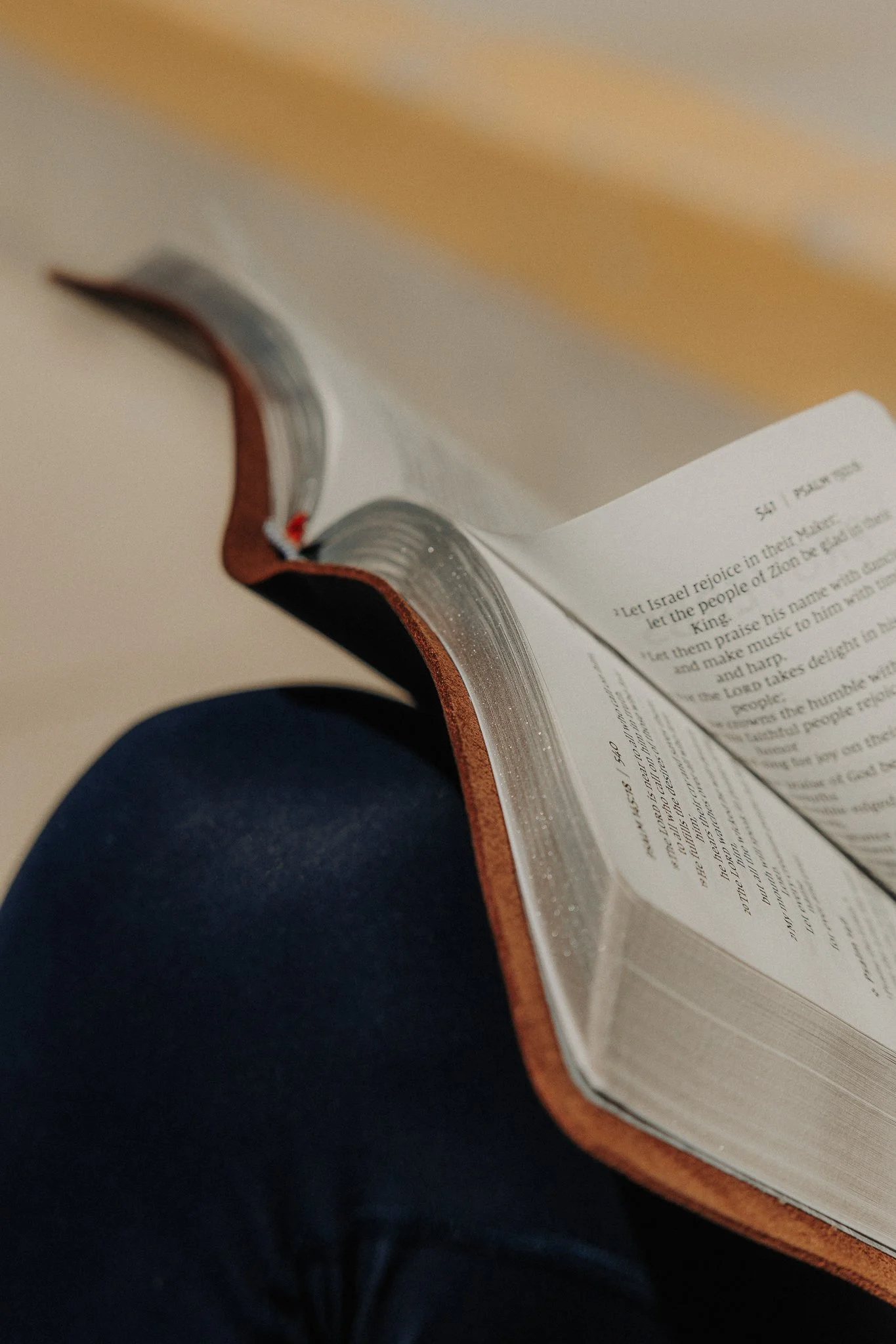 scriptura-niv-thinline-bible-58.jpg