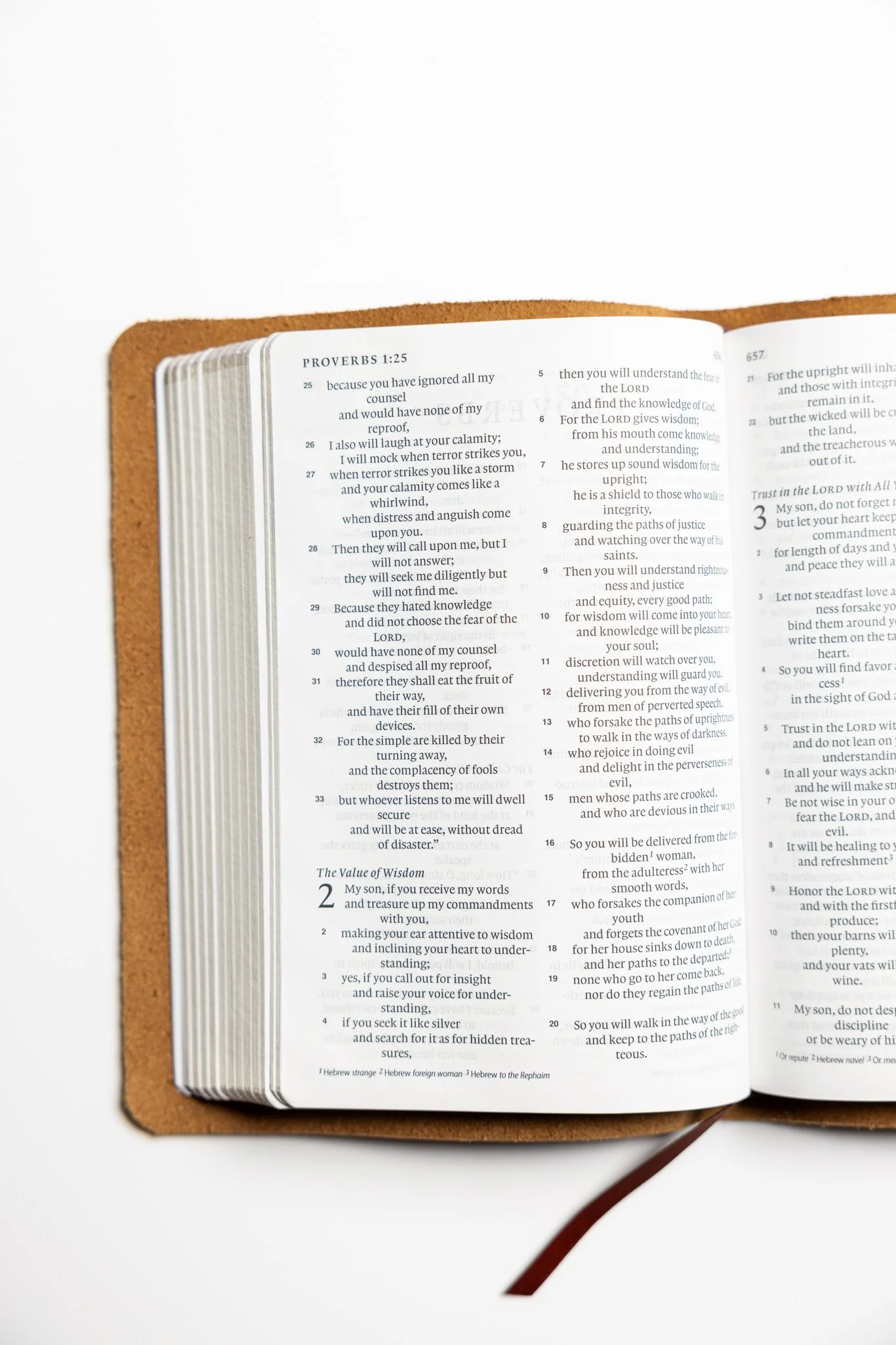 scriptura-esv-large-print-compact-bible-09.jpg