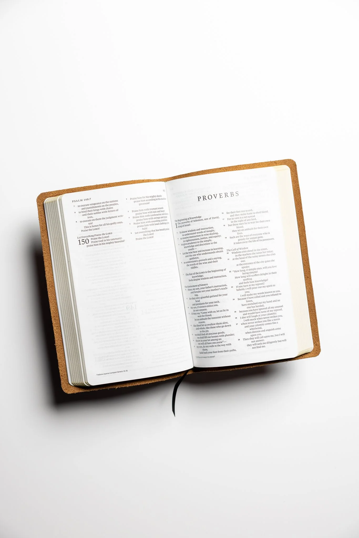 scriptura-esv-thinline-bible-06.jpg
