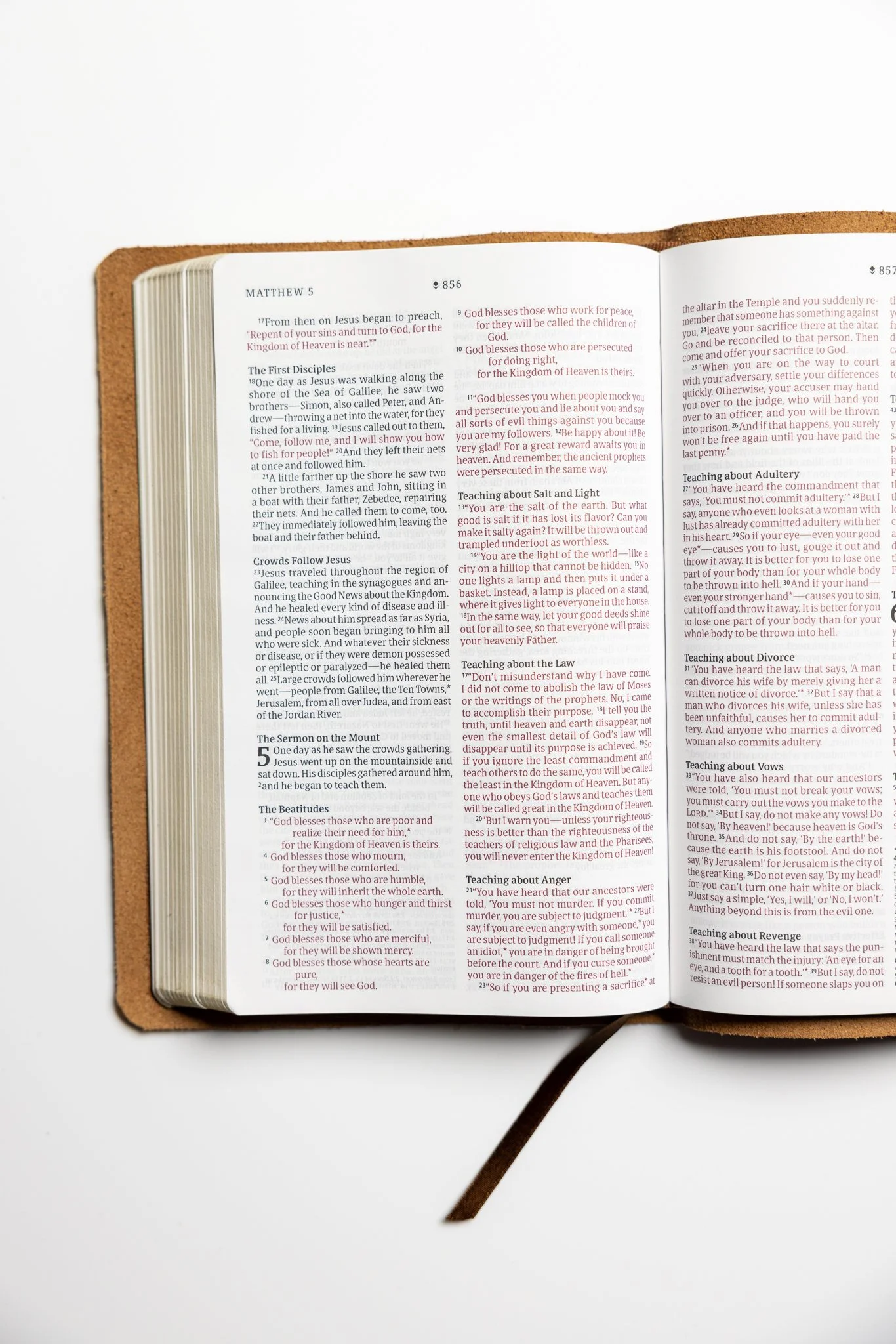 scriptura-nlt-thinline-reference-bible-87.jpg