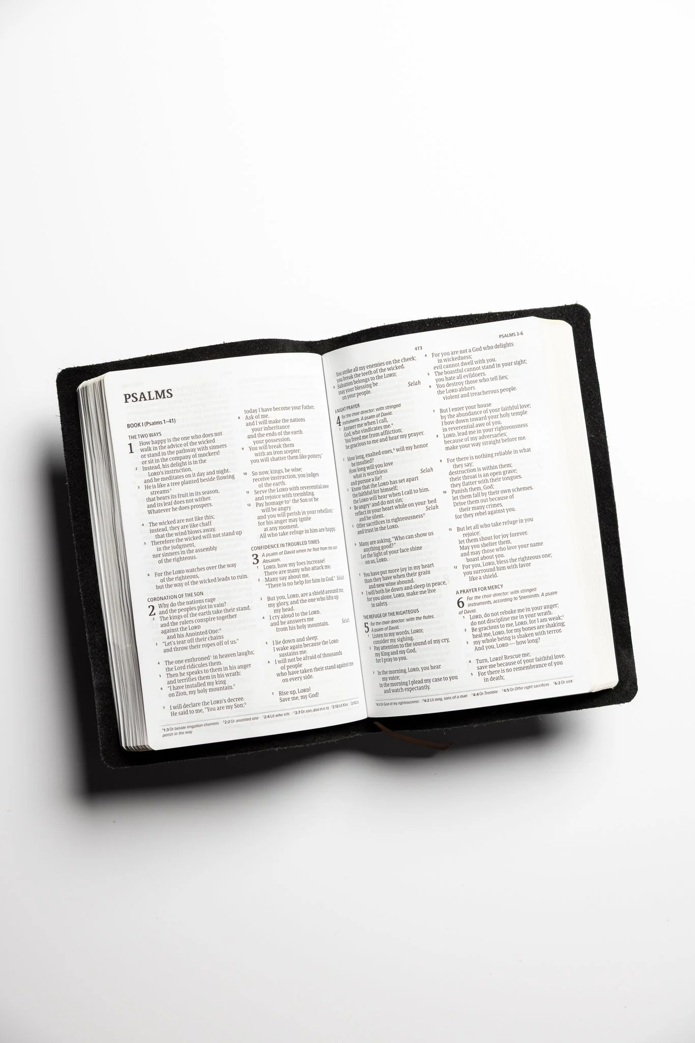 scriptura-csb-large-print-thinline-bible-03.jpg