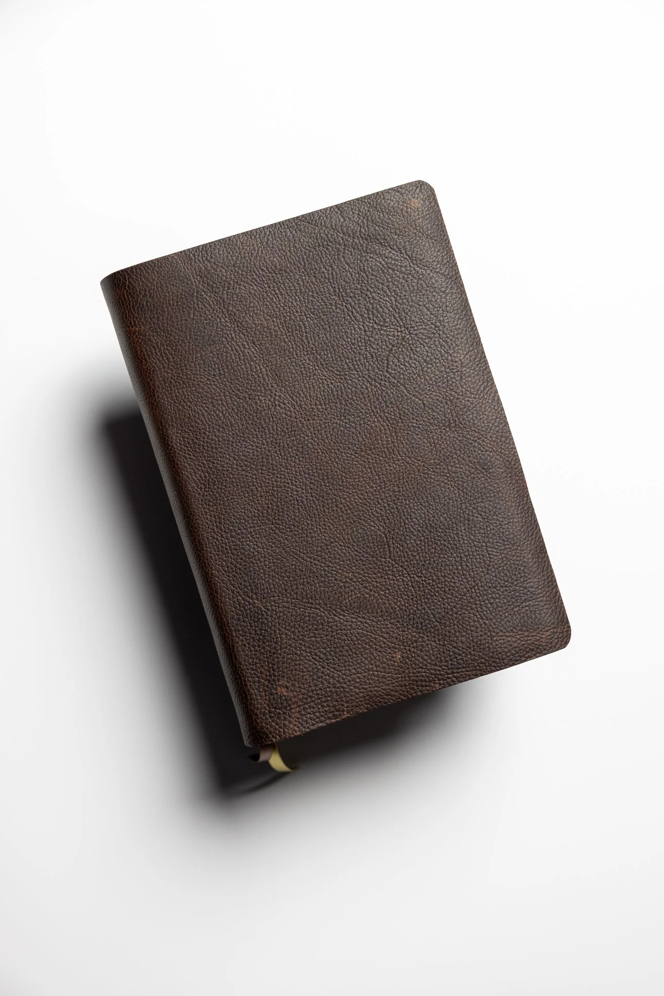 NIV Bible, Study Edition