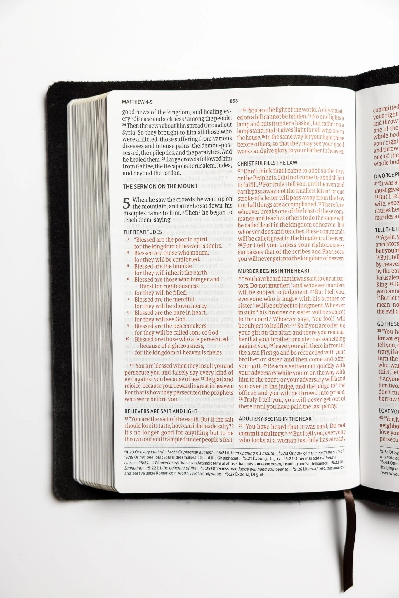 scriptura-csb-large-print-thinline-bible-09.jpg